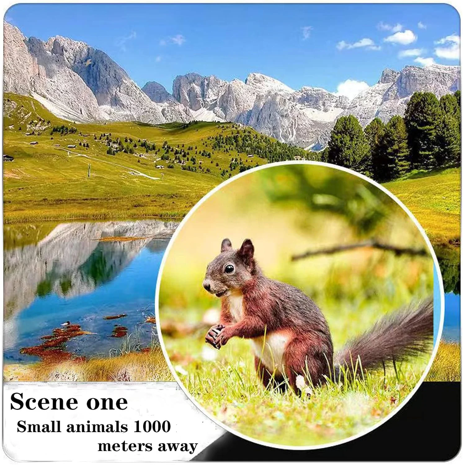 تلسکوپ تک چشمی 12×50 HD، به همراه آداپتور تلفن هوشمند و سه پایه فلزی، تک چشمی فشرده ضد آب با قدرت بالا مناسب بزرگسالان و کودکان، تماشای پرندگان، شکار، مسافرت، ستاره‌نگاری