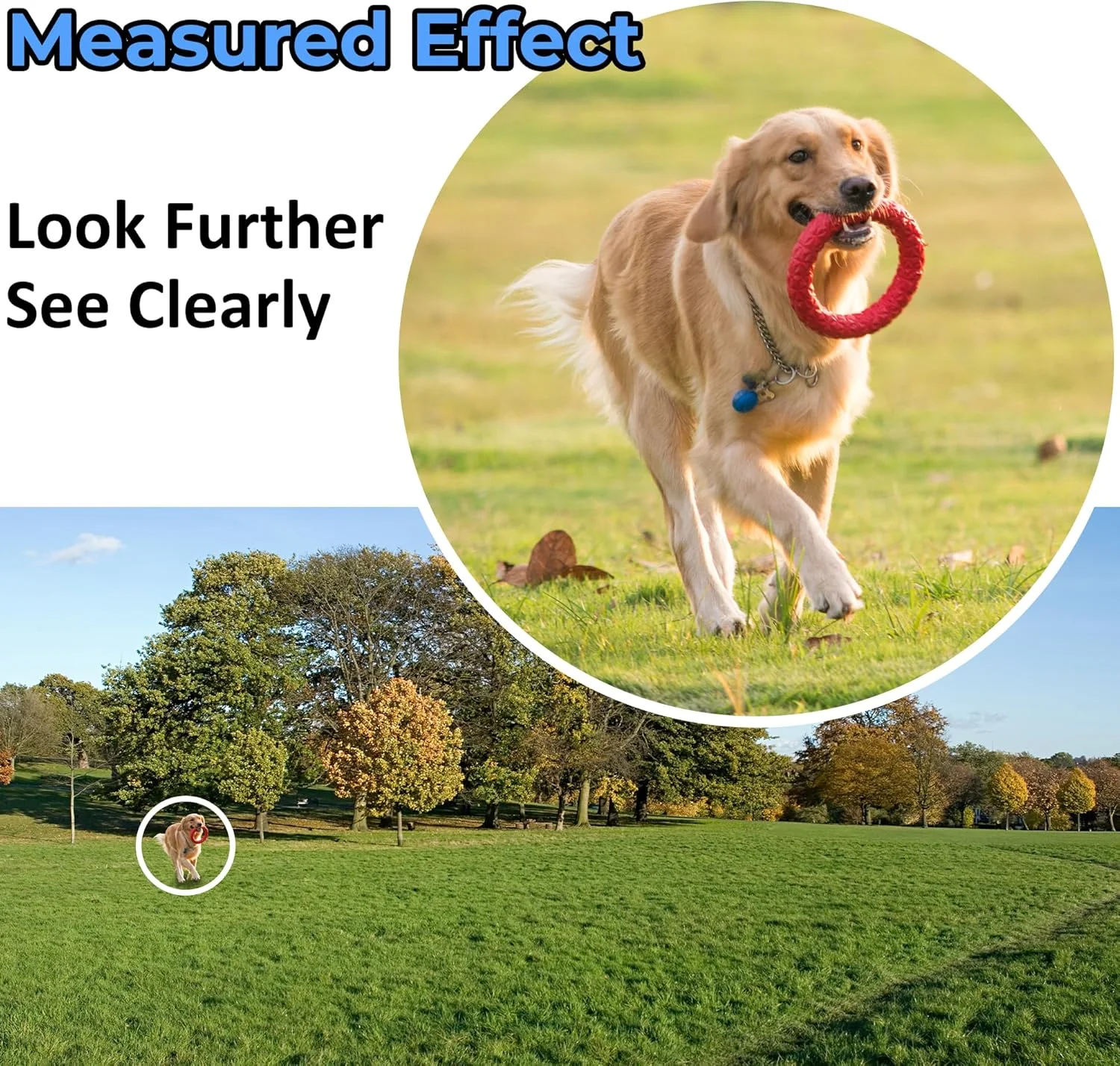 آداپتور تلسکوپ فلزی تلفن هوشمند - همراه با تلسکوپ تک چشمی 10x25