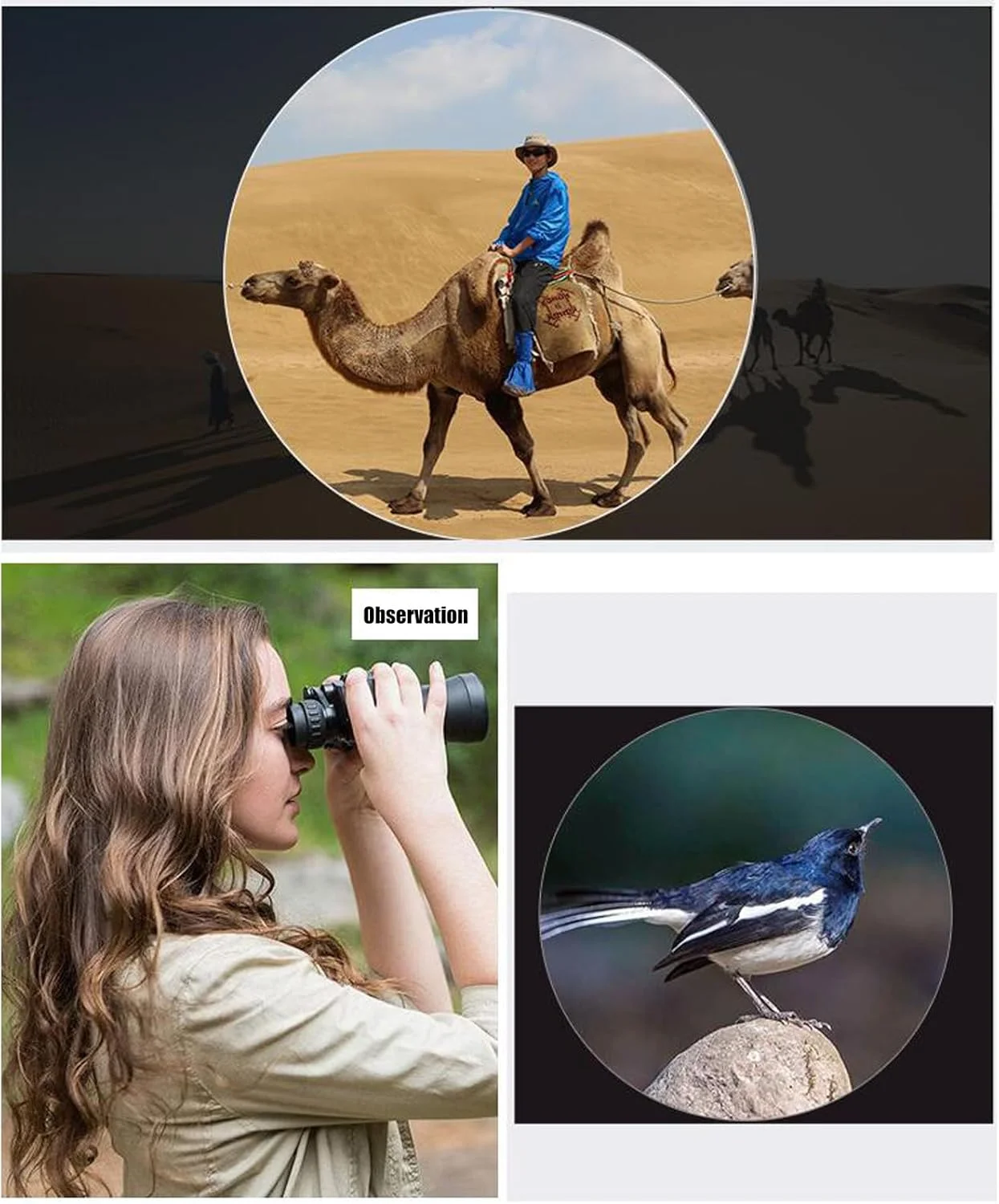 تک چشمی های قابل حمل با بزرگنمایی بالا و وزن سبک برای کمپینگ در فضای باز