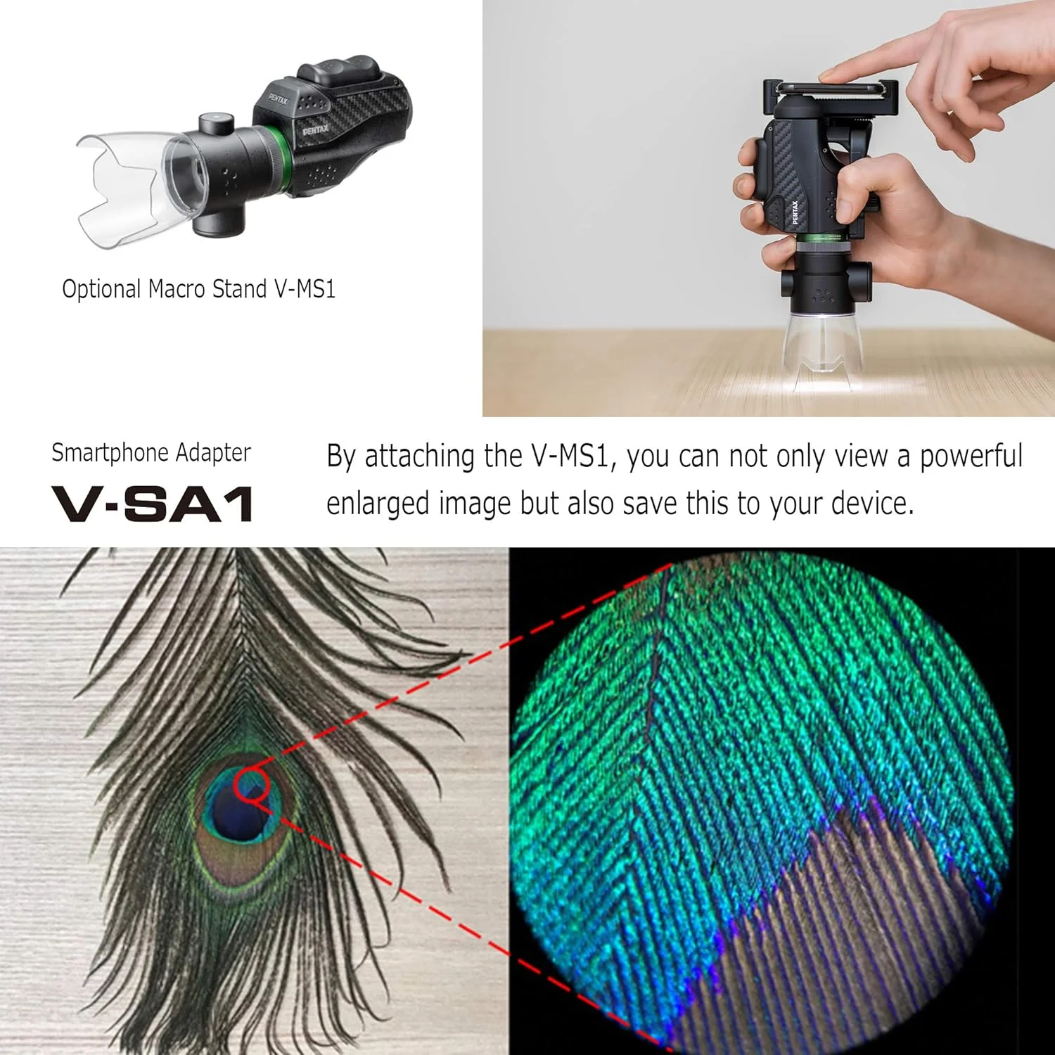 آداپتور تلفن هوشمند PENTAX V-SA1 برای تک چشمی PENTAX VM 6x21 WP، آداپتور اختصاصی تلفن هوشمند برای گرفتن تصاویر بزرگنمایی شده از آنچه با تک چشمی PENTAX خود می بینید