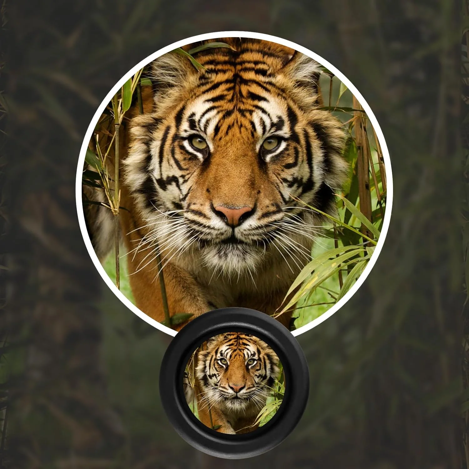 تلسکوپ تک چشمی، لنز زوم قدرتمند 8x32، ضد آب با کیف حمل، مشکی تلسکوپ تک چشمی، لنز زوم قدرتمند 8x32، ضد آب با کیف حمل، مشکی