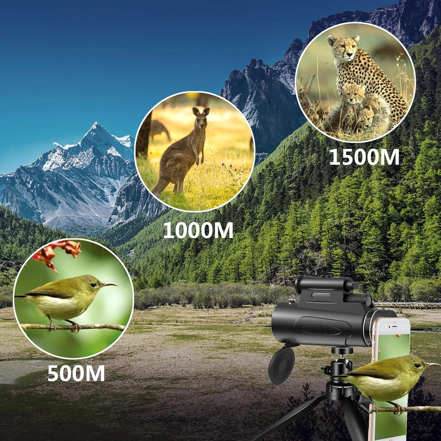 تلسکوپ تک چشمی با چراغ، تک چشمی HD 80x100 برای بزرگسالان، تلسکوپ دستی مناسب برای تماشای پرندگان و رصد ستارگان - مشکی تلسکوپ تک چشمی با چراغ، تک چشمی HD 80x100 برای بزرگسالان، تلسکوپ دستی مناسب برای تماشای پرندگان و رصد ستارگان - مشکی