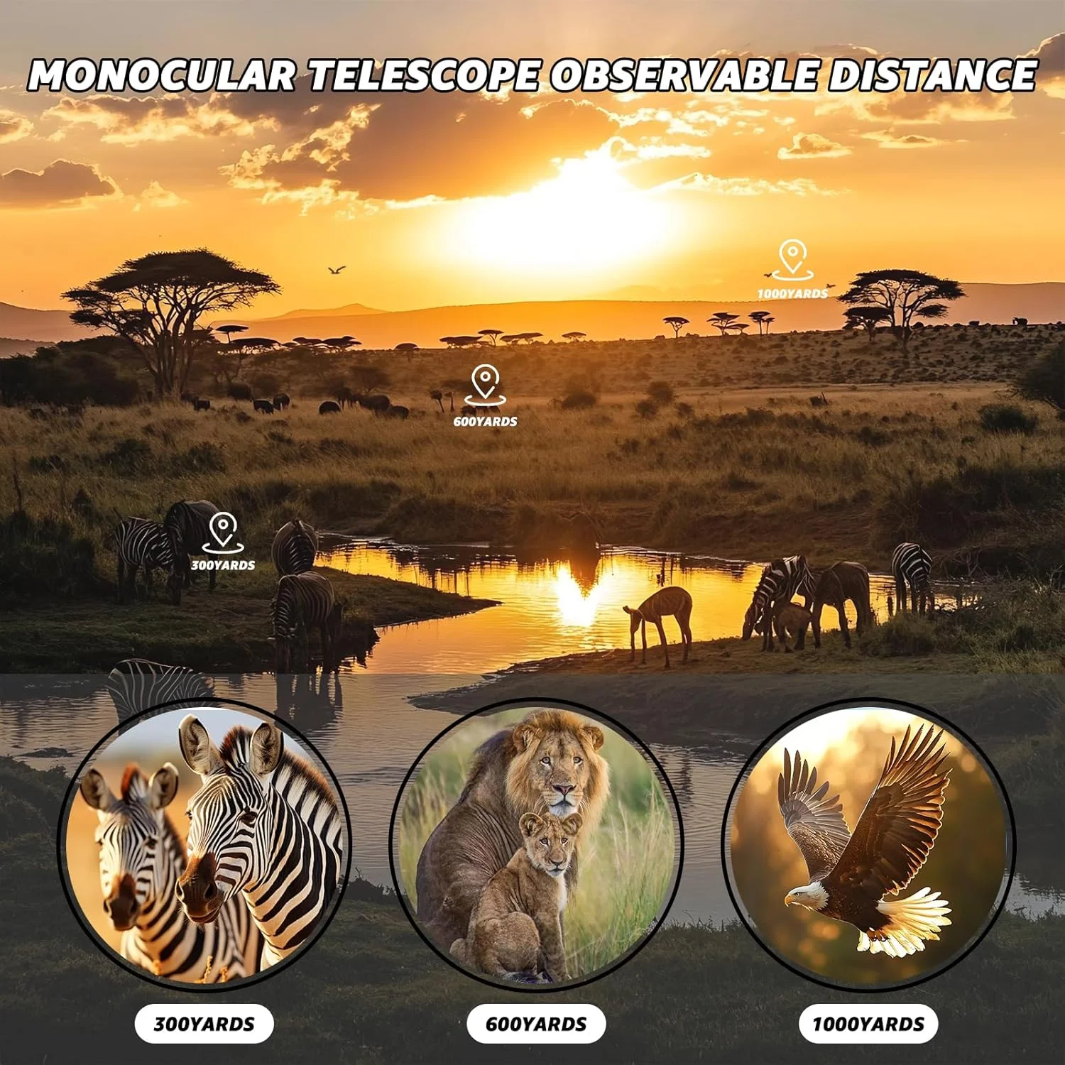 تلسکوپ تک چشمی 8x25 برای بزرگسالان، تلسکوپ تک چشمی فشرده قابل حمل ضد آب با بند دستی، تلسکوپ جیبی دستی سبک وزن برای شکار، تماشای پرندگان، پیاده روی و مسافرت (8x25)