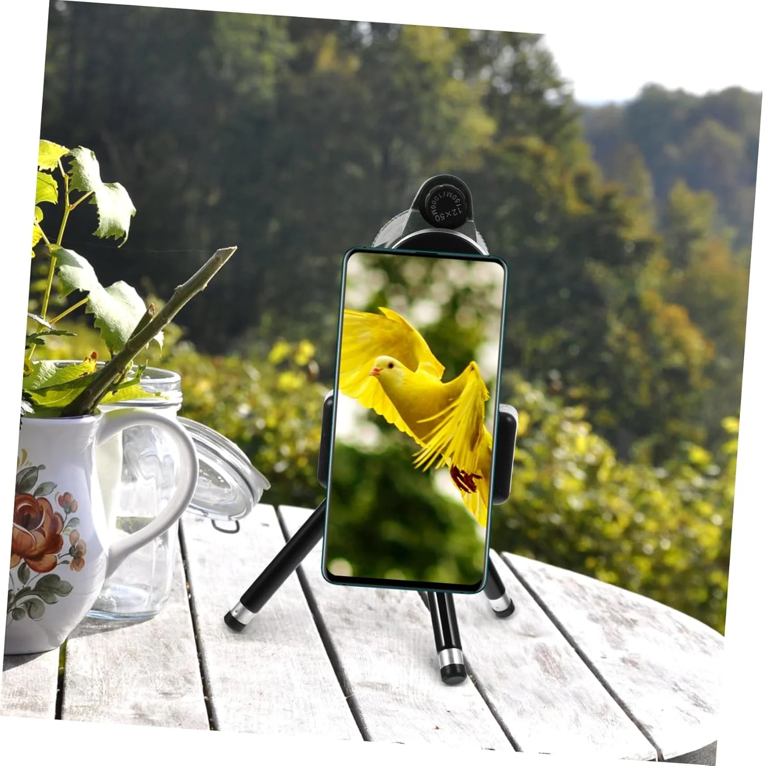 تلسکوپ تک چشمی DOITOOL با نگهدارنده تلفن هوشمند، سه پایه، جمع و جور و قابل حمل برای تماشای پرندگان، پیاده روی، کمپینگ و ماجراجویی در فضای باز