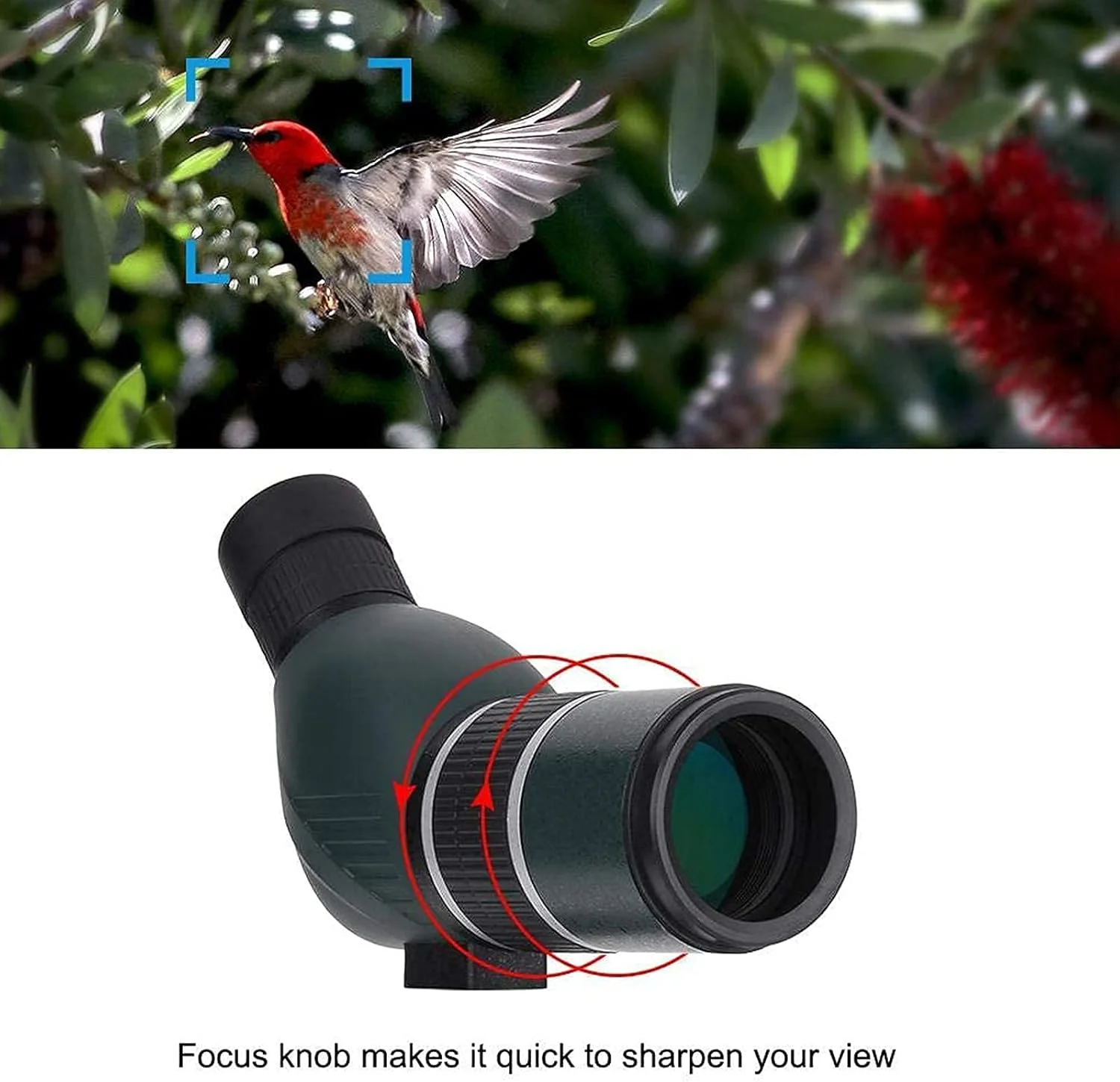 تلسکوپ تک چشمی 50 میلی‌متری زاویه‌دار با بزرگنمایی 12-36X مناسب فعالیت‌های فضای باز، تماشای پرندگان، کودکان و بزرگسالان