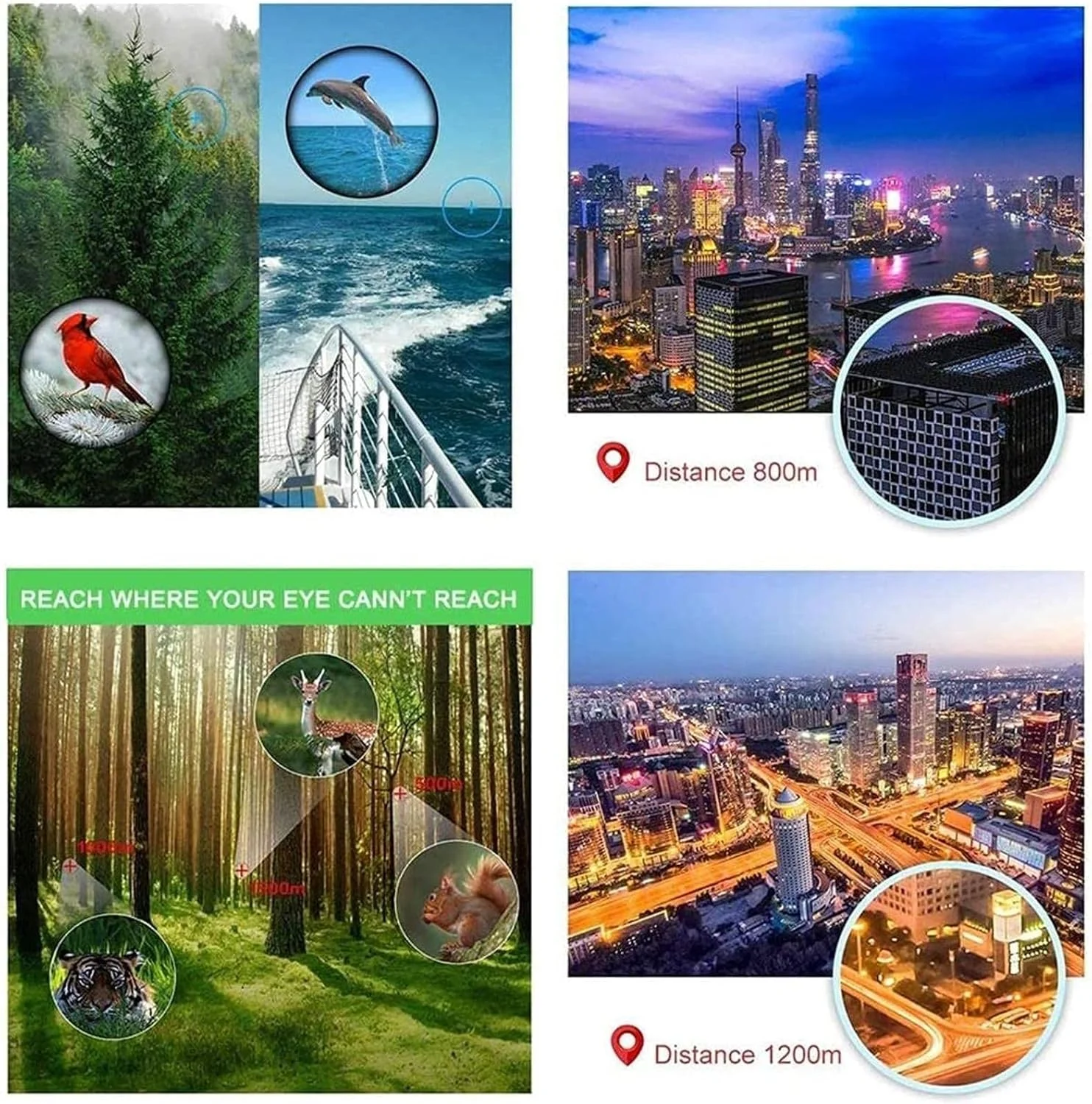 تلسکوپ تک چشمی شفاف با نگهدارنده تلفن هوشمند و سه پایه قابل تنظیم برای تماشای پرندگان، پیاده روی و کمپینگ