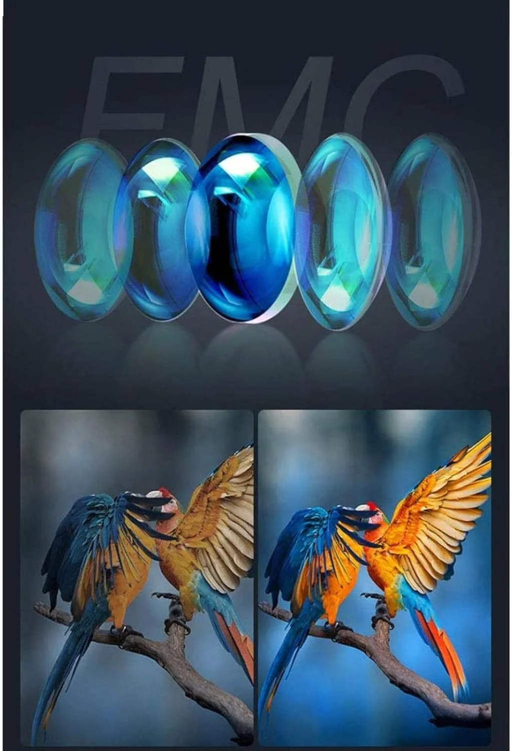 تک چشمی قدرتمند 12x50 جمع و جور با منشور BAK4 و لنز FMC به همراه آداپتور تلفن هوشمند و سه پایه مناسب برای تماشای پرندگان