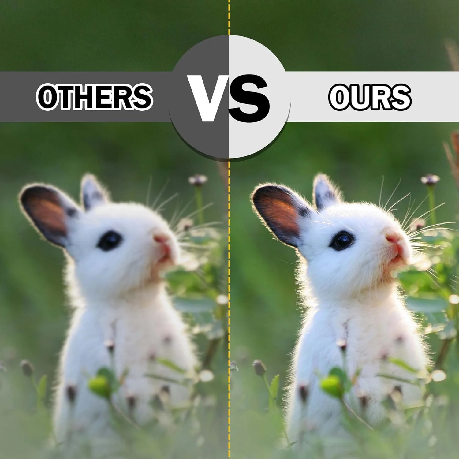 تک چشمی فشرده ضد آب 8x25 ارتقا یافته Astromania - همراه با - تلسکوپ تک چشمی منشوری 10X42 HD K9