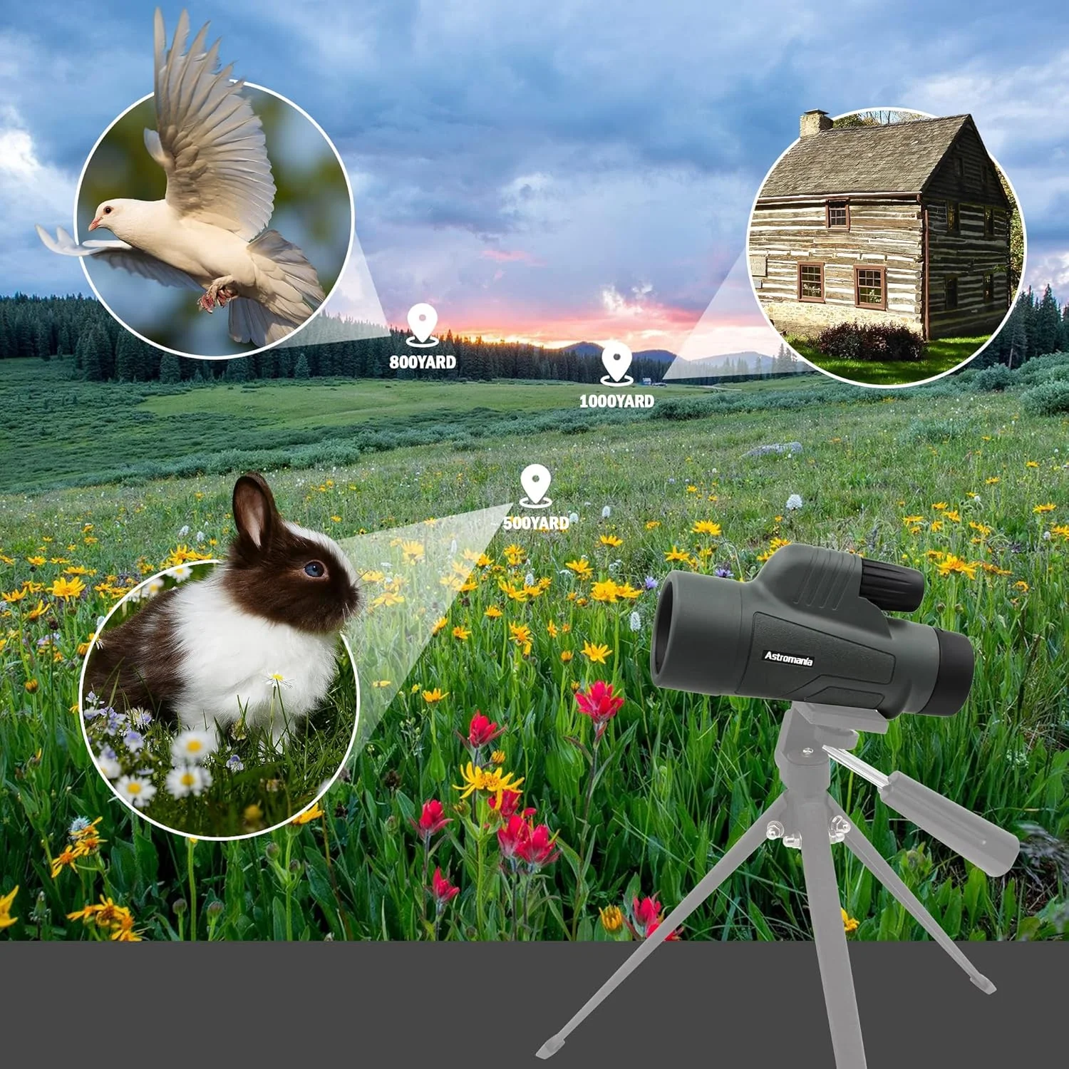 تلسکوپ تک چشمی فشرده ضد آب 8x25 ارتقا یافته Astromania - همراه با تک چشمی منشوری قدرتمند 10X42 BAK4 تلسکوپ تک چشمی فشرده ضد آب 8x25 ارتقا یافته Astromania - همراه با تک چشمی منشوری قدرتمند 10X42 BAK4