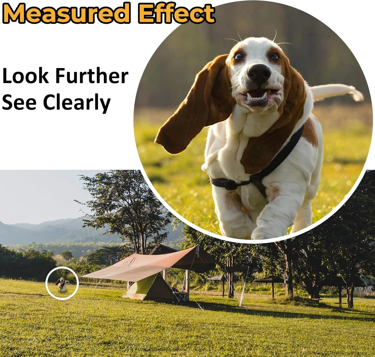 تلسکوپ تک چشمی فشرده 8x25 سبک وزن، مناسب برای هدیه، تماشای پرندگان، شکار، پیاده روی، کمپینگ و سایر فعالیت های فضای باز تلسکوپ تک چشمی فشرده 8x25 سبک وزن، مناسب برای هدیه، تماشای پرندگان، شکار، پیاده روی، کمپینگ و سایر فعالیت های فضای باز