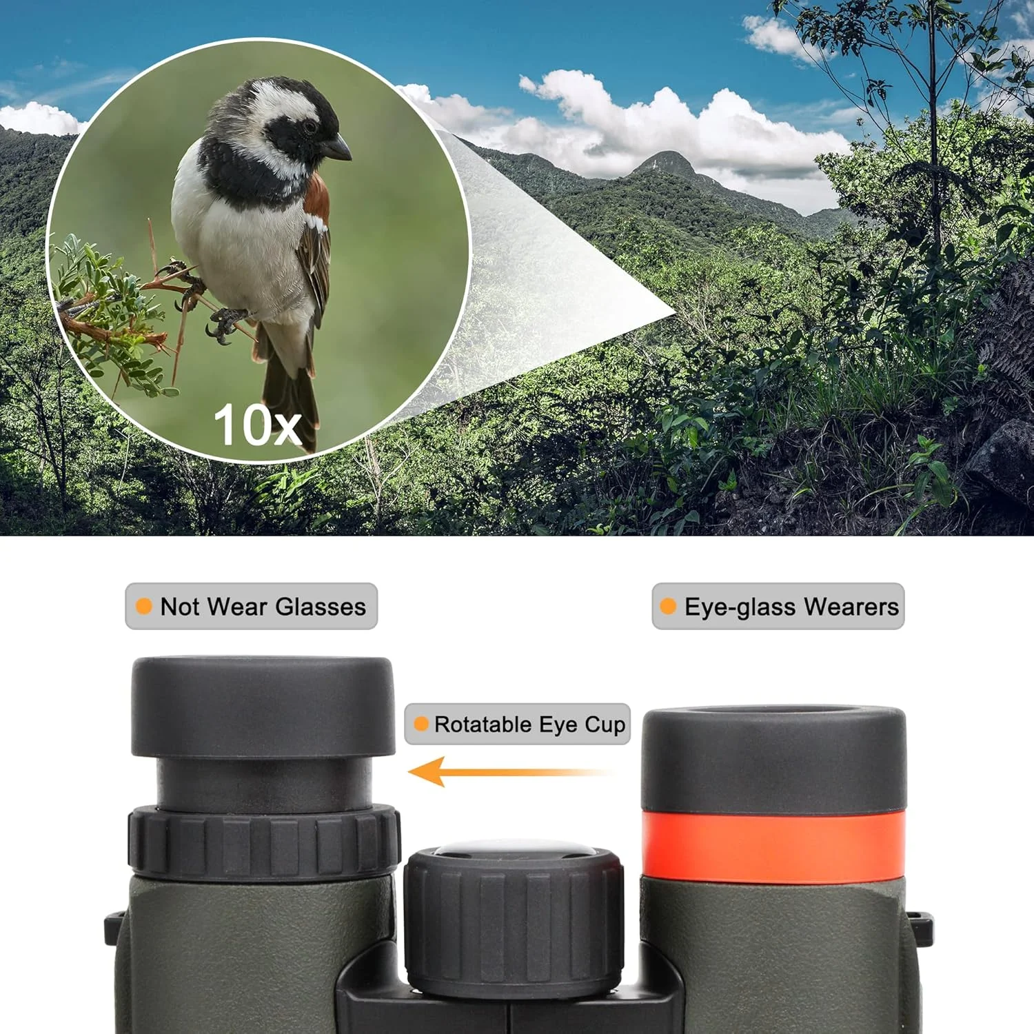 تک چشمی فشرده ضد آب 8x25 ارتقا یافته Astromania - همراه با - دوربین دوچشمی فشرده ضد آب 10x26 برای مسافرت