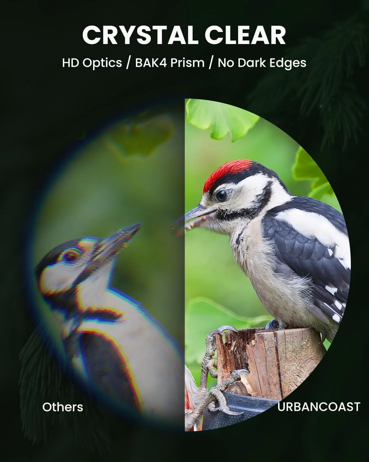 تلسکوپ تک چشمی 8X32 برای بزرگسالان، قدرت بالا، ضد آب، منشور BAK4، لنز FMC، مناسب برای تماشای پرندگان، پیاده روی، مسافرت، کمپینگ و کاوش در فضای باز