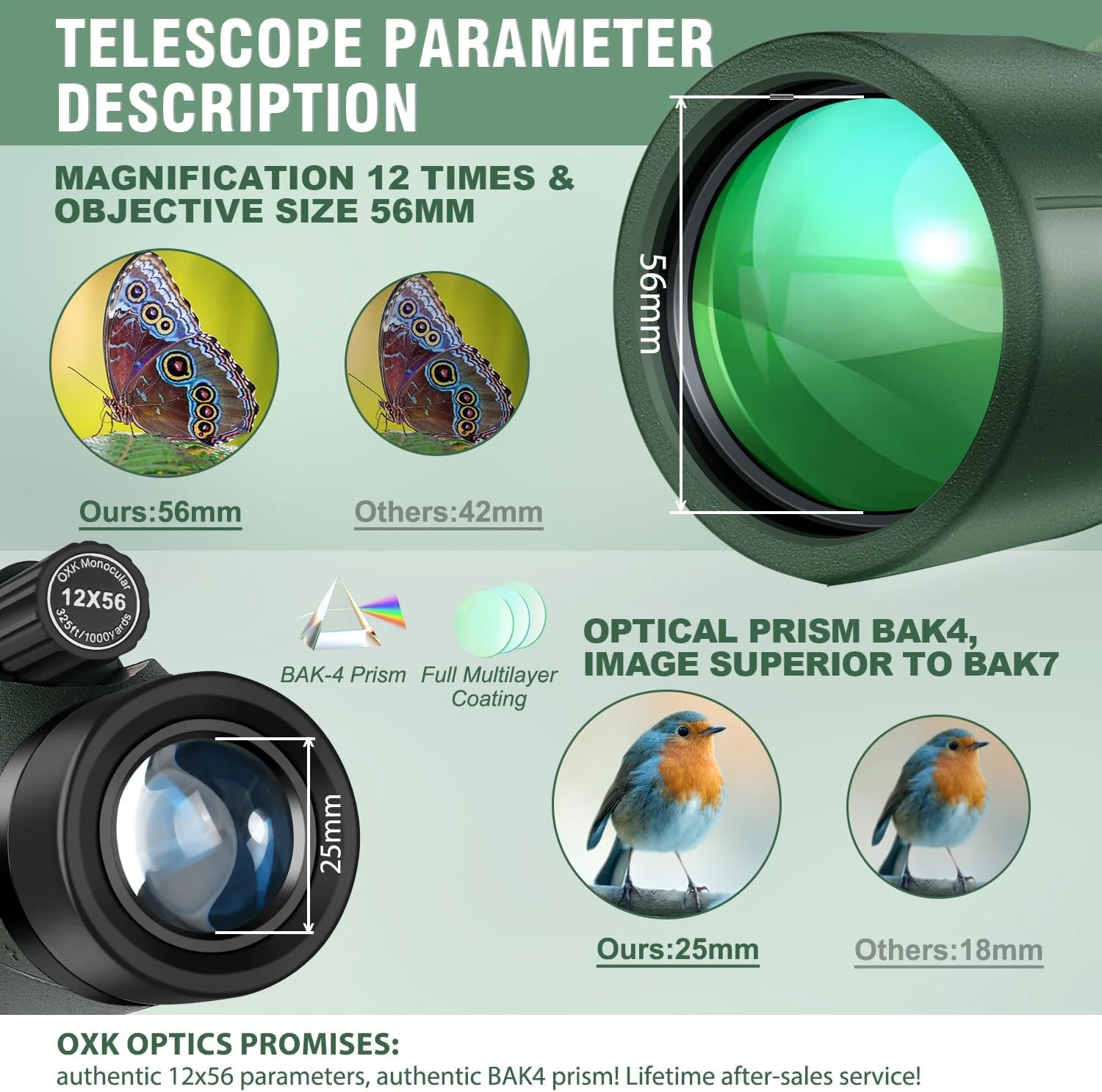 تلسکوپ تک چشمی 12x56 با قدرت بالا برای بزرگسالان | به همراه آداپتور تلفن هوشمند، سه پایه و کیف مسافرتی | مناسب برای تماشای پرندگان، شکار، پیاده روی و کمپینگ - سبز