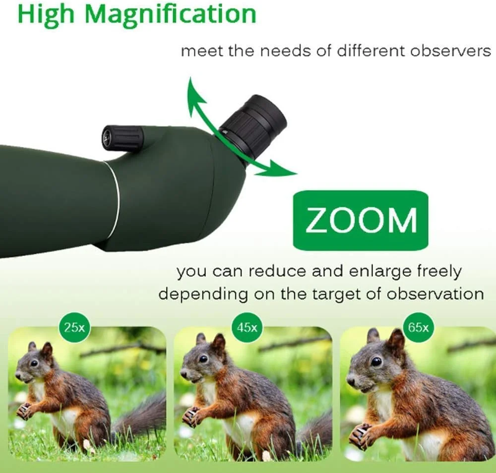 تلسکوپ برای بزرگسالان 50/60/70 میلی‌متری با قابلیت زوم و ضد آب به همراه آداپتور اتصال تلفن همراه