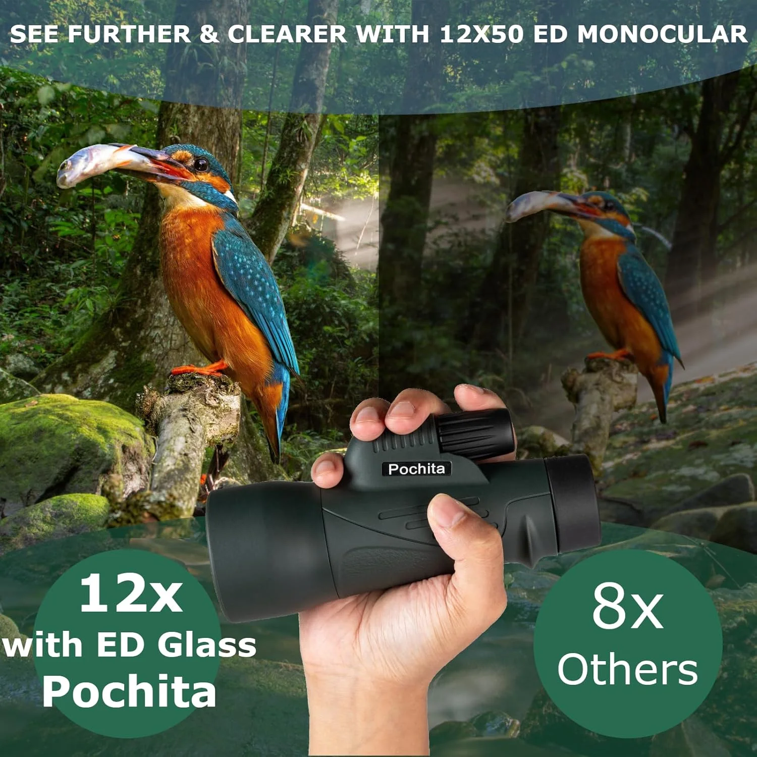 تلسکوپ تک چشمی 12x50 HD برای بزرگسالان - منشور BAK4 و لنز FMC با کیفیت حرفه ای | ضد آب IPX7، طراحی جمع و جور برای تماشای پرندگان، شکار، کنسرت ها و تماشای ستارگان