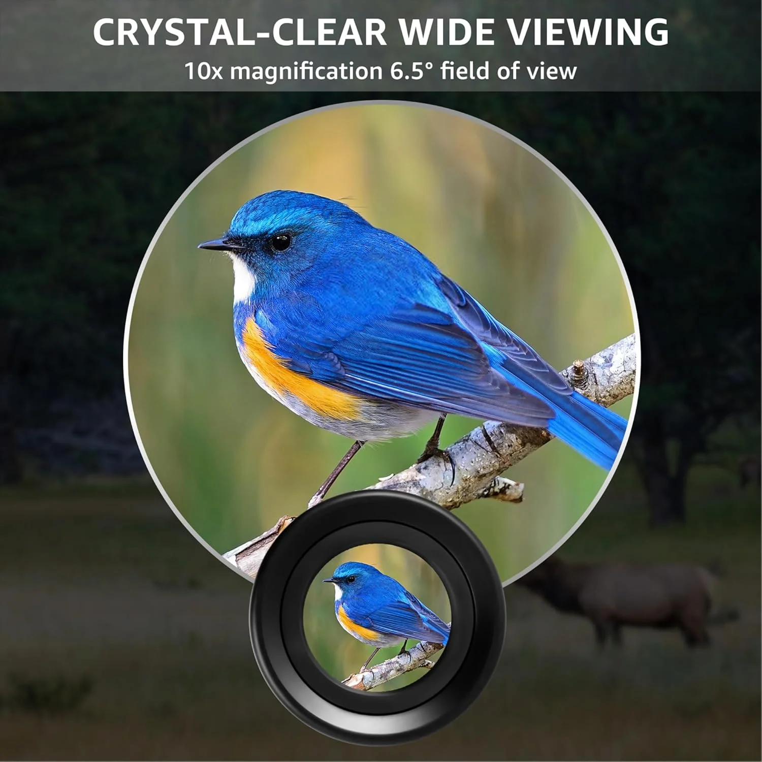 تلسکوپ تک چشمی 10x36، مینی جیبی دستی جمع و جور با لنز ED، پوشش چند لایه کامل، منشور BAK-4 HD، اپتیک حرفه ای ضد آب و ضد مه برای بزرگسالان، پیاده روی، تماشای پرندگان، مسافرت