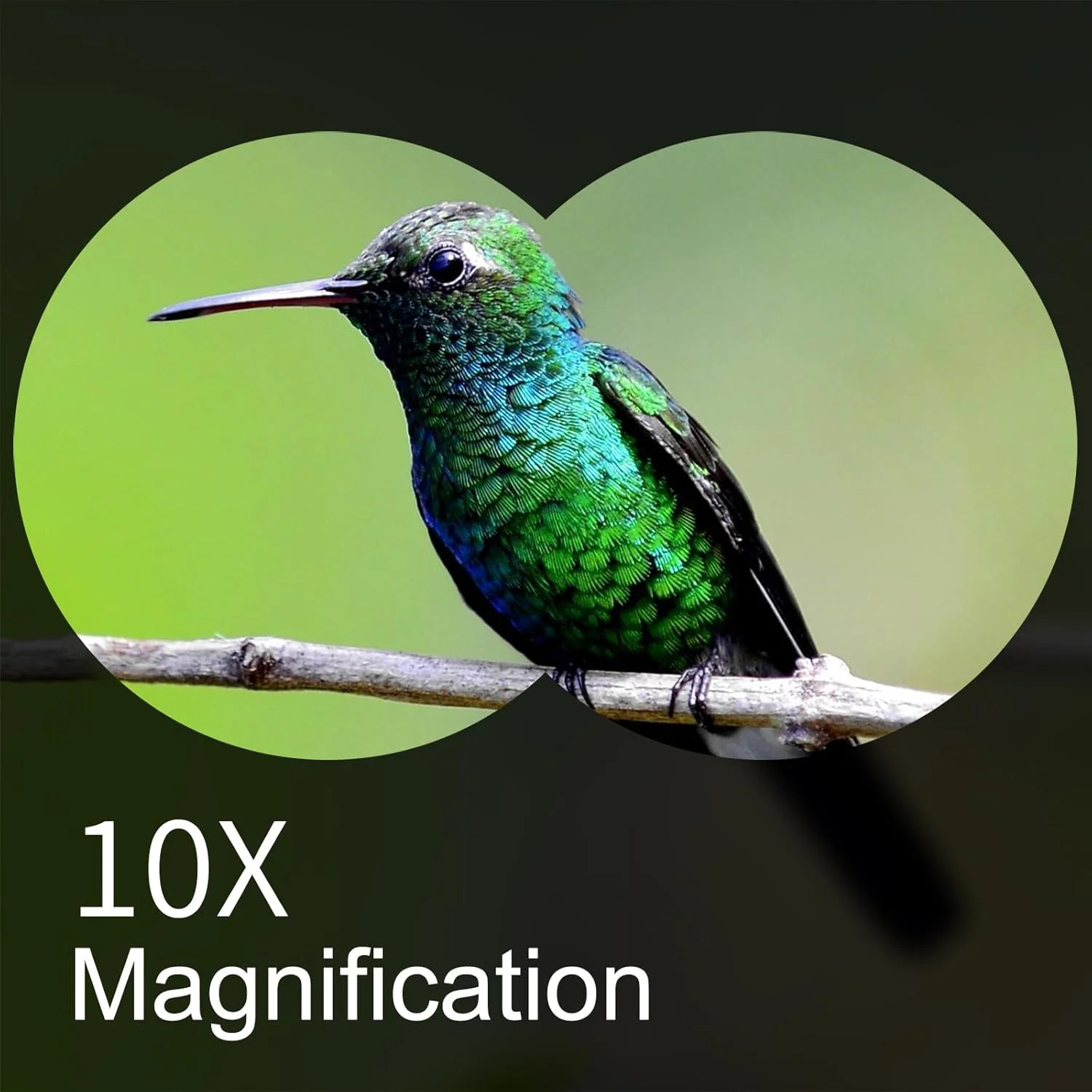 دوربین دوچشمی ۲۰x۵۰ BRESSER برای بزرگسالان، با سیستم اپتیک HD، ضد لغزش، ضد آب، مقاوم در برابر ضربه، دید در نور کم برای تماشای پرندگان، شکار، مسابقات فوتبال، مسافرت، تماشای ستارگان و سفر دریایی دوربین دوچشمی ۲۰x۵۰ BRESSER برای بزرگسالان، با سیستم اپتیک HD، ضد لغزش، ضد آب، مقاوم در برابر ضربه، دید در نور کم برای تماشای پرندگان، شکار، مسابقات فوتبال، مسافرت، تماشای ستارگان و سفر دریایی