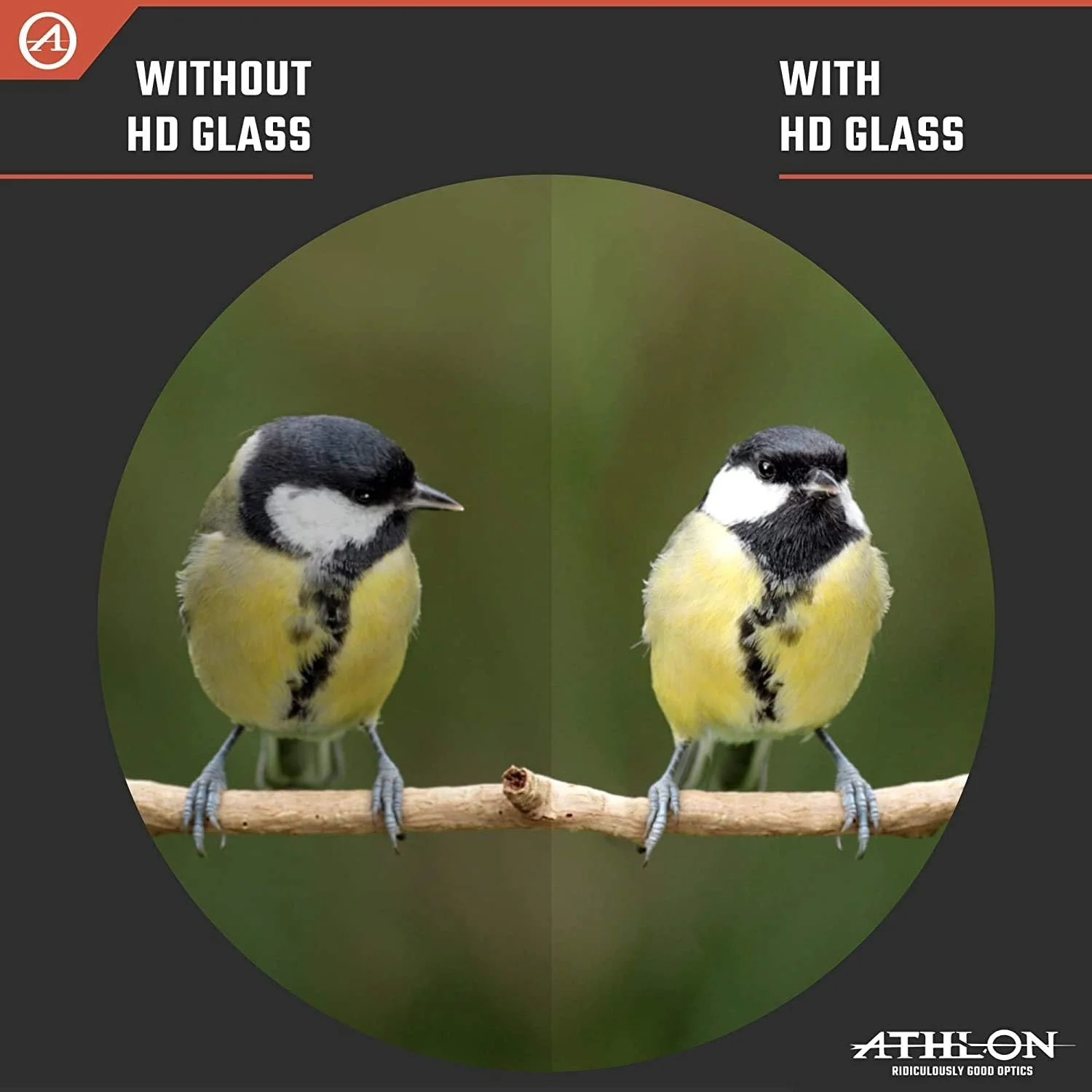 دوربین دوچشمی آتلون اپتیکس Neos G2 8x42 HD به همراه قلم تمیز کننده لنز Wearable4U و پارچه تمیز کننده لنز