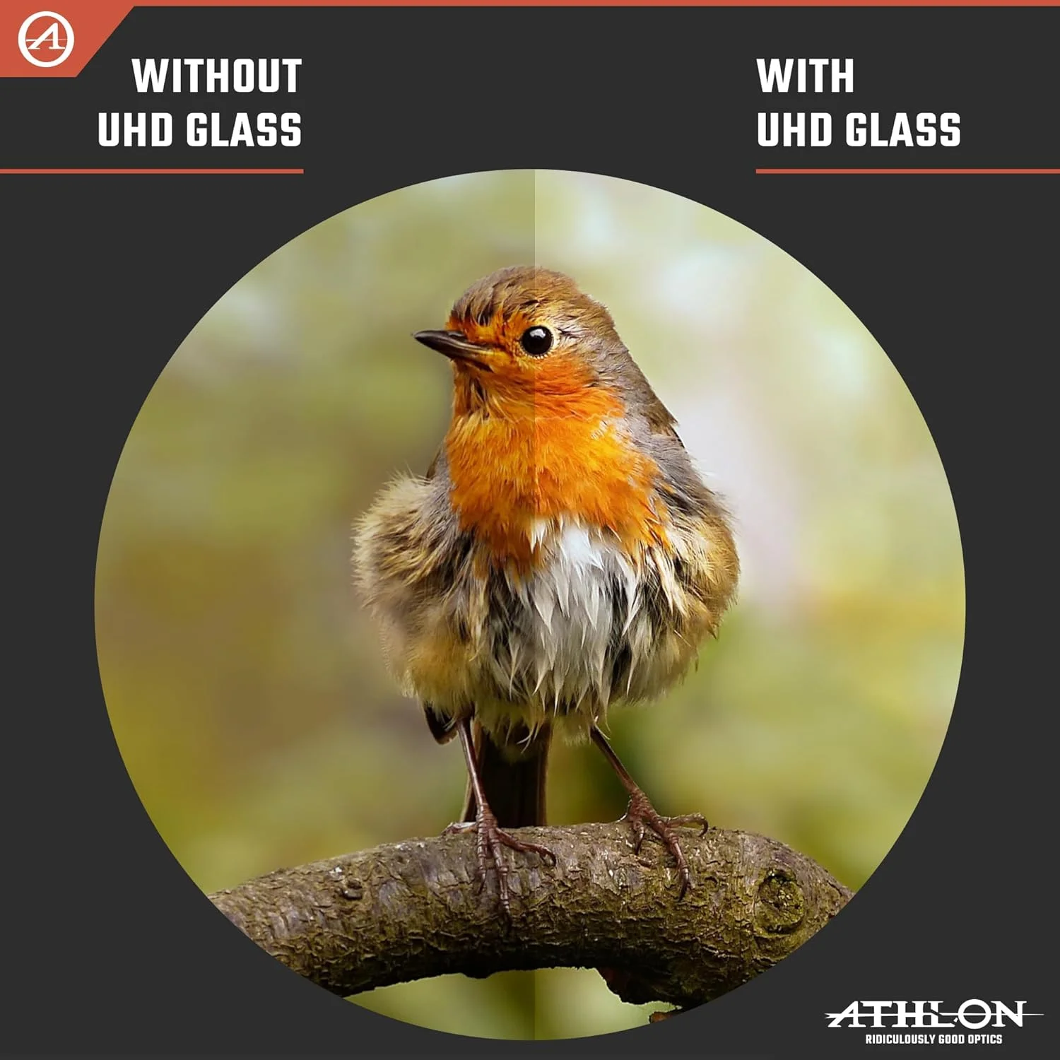 دوربین دوچشمی آتلون اپتیکس 8x42 Midas G2 UHD مشکی با راحتی چشم برای بزرگسالان و کودکان، دوربین دوچشمی قدرتمند برای شکار، تماشای پرندگان و موارد دیگر