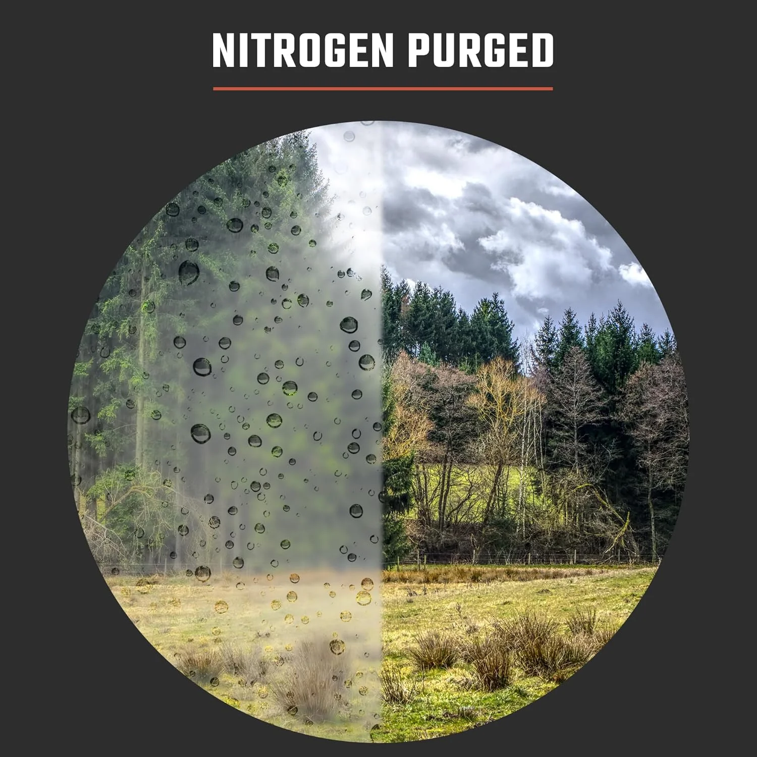 دوربین دوچشمی آتلون اپتیکس فوررانر 10x42