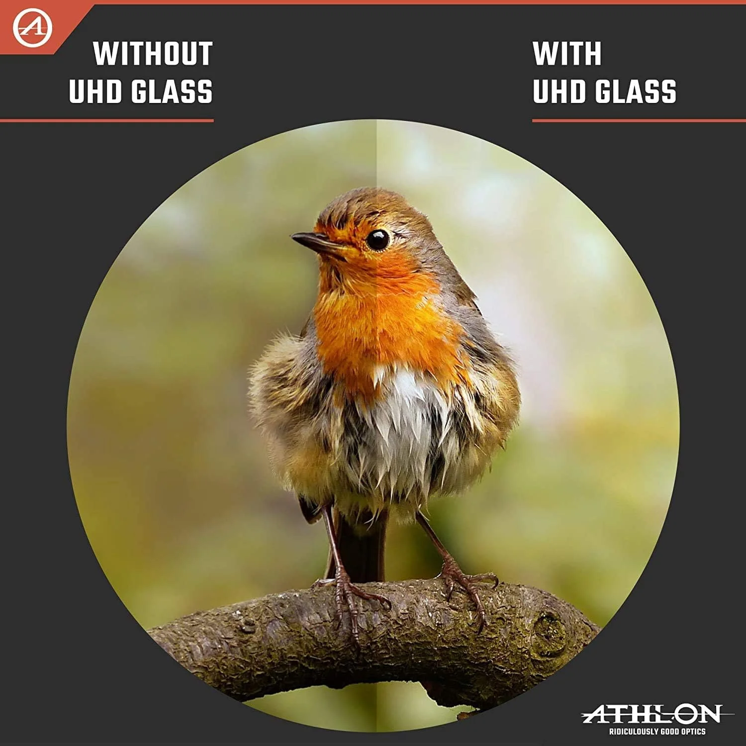 دوربین دوچشمی آتلون اپتیکس آرگوس G2 10x42 UHD به همراه قلم تمیز کننده لنز و پارچه تمیز کننده لنز Wearable4U