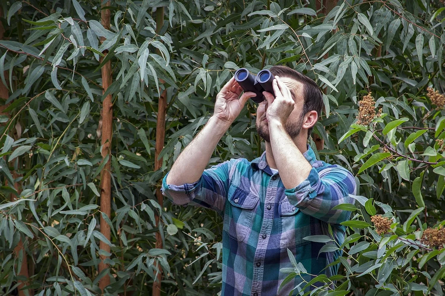 دوربین دوچشمی ضد آب BARSKA Level ED مدل AB12802 8x42، مشکی، 8x42 میلی متر