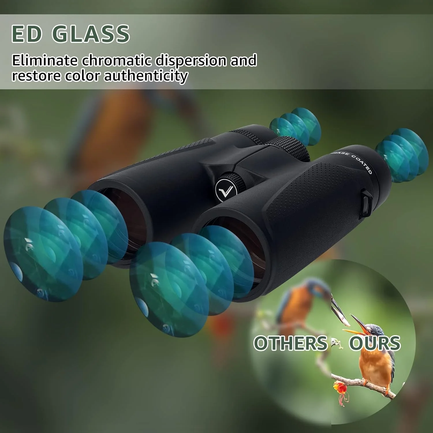 دوربین دوچشمی SVBONY SV202 8x42 ED، منشور Bak4 و اپتیک کاملاً پوشش داده شده، دوربین دوچشمی با روکش لاستیکی با استاندارد IPX7 ضد مه و ضد آب برای تماشای پرندگان