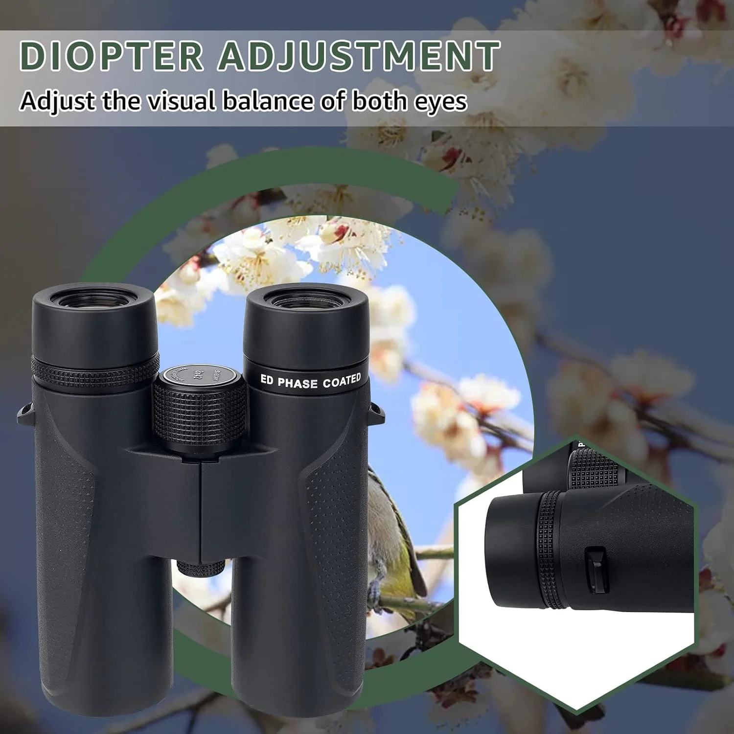 دوربین دوچشمی SVBONY SV202 8x42 ED، منشور Bak4 و اپتیک کاملاً پوشش داده شده، دوربین دوچشمی با روکش لاستیکی با استاندارد IPX7 ضد مه و ضد آب برای تماشای پرندگان