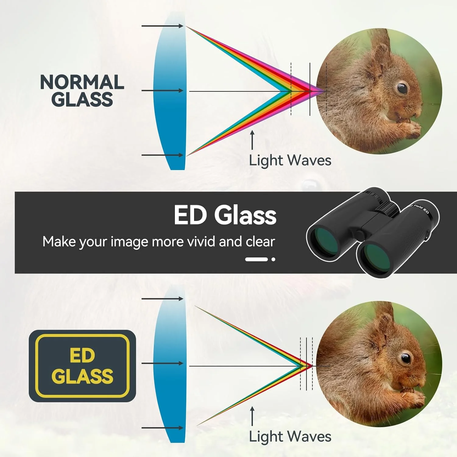 دوربین دوچشمی SVBONY SA205 برای بزرگسالان، 10x42 با میدان دید تخت، شیشه ED، به همراه آداپتور تلفن ارتقا یافته، ضد آب با بند برای تماشای پرندگان