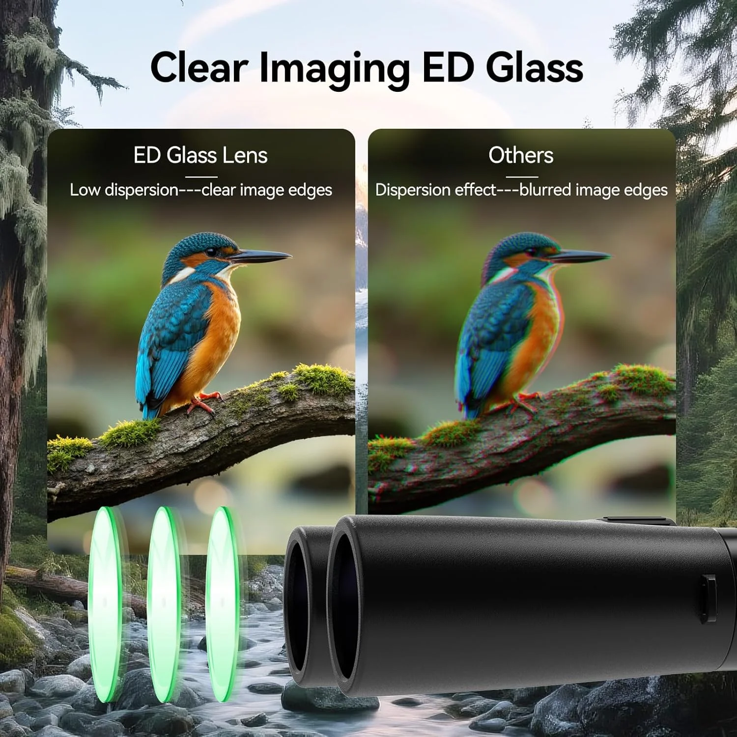 دوربین دوچشمی SVBONY SV202 10x42 ED به همراه آداپتور سه پایه، با لنزهای شیئی پراکندگی بسیار کم برای تماشای پرندگان، سیستم اپتیک BAK4 و FMC، زاویه دید باز 8 درجه، ضد آب IPX7 برای استفاده در همه شرایط آب و هوایی