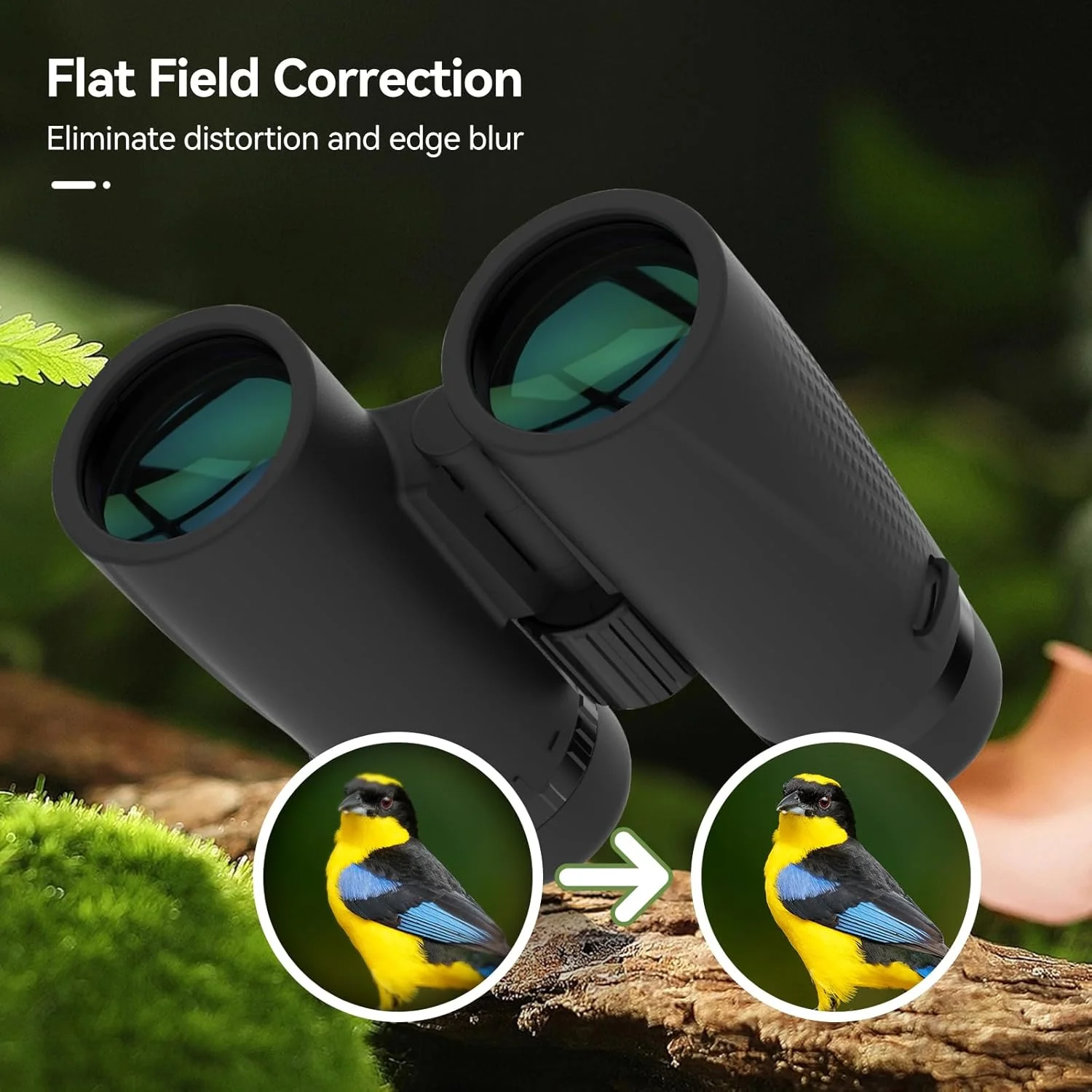 دوربین دوچشمی SVBONY SA205 8x42 ED، میدان دید تخت با Bak4 و FMC، ضد مه و ضد آب IP67، دوربین دوچشمی با روکش لاستیکی و بند برای تماشای پرندگان در فضای باز