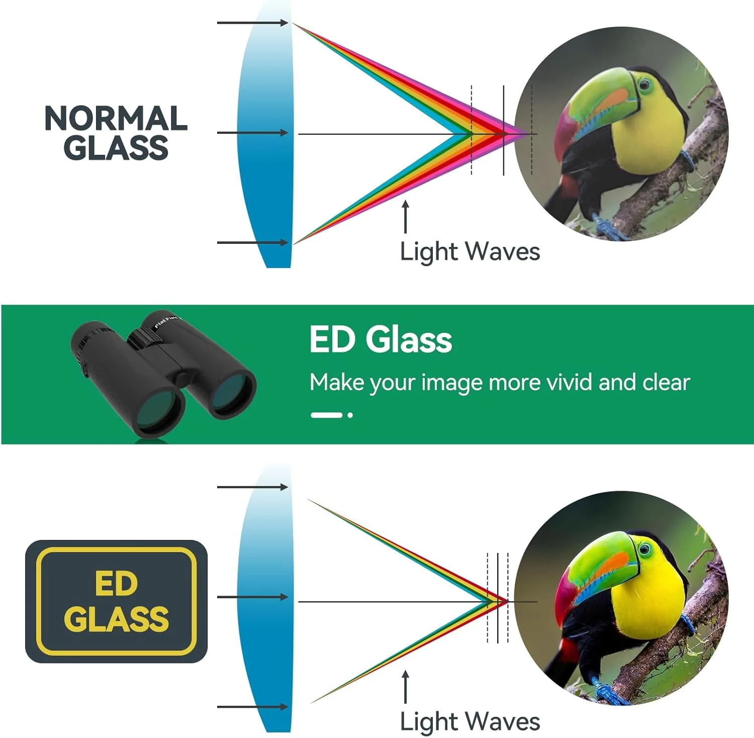 دوربین دوچشمی SVBONY SA205 8x42 ED، میدان دید تخت با Bak4 و FMC، ضد مه و ضد آب IP67، دوربین دوچشمی با روکش لاستیکی و بند برای تماشای پرندگان در فضای باز