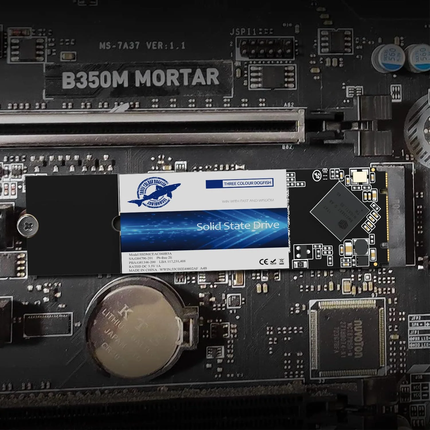 درایو حالت جامد M.2 2280 داگفیش سه رنگ، 64 گیگابایت SATA III 6 گیگابیت بر ثانیه، درایو داخلی حالت جامد - سازگار با کامپیوتر رومیزی لپ تاپ (M.2 2280، بسته 10 عددی 64 گیگابایتی)