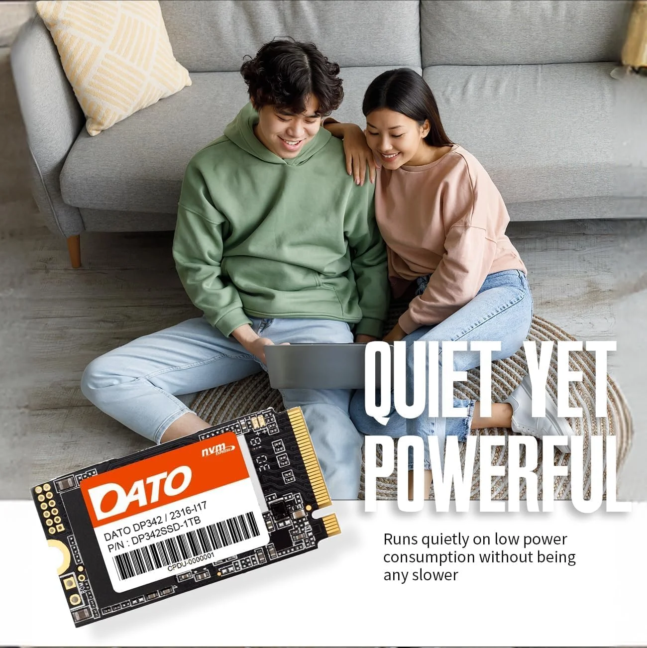 درایو حالت جامد داخلی DATO DP342 1TB M.2 2242 PCIe Gen3x4 NVMe 1.3 SSD (سرعت تا 2500/1800 مگابایت بر ثانیه)