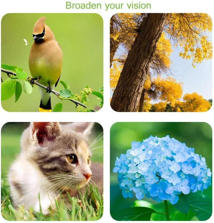 تلسکوپ های TEmkin برای نجوم، تلسکوپ شکستنی جمع و جور برای کودکان، بزرگسالان و مبتدیان نجوم به همراه سه پایه، آینه سمت الراس و چشمی