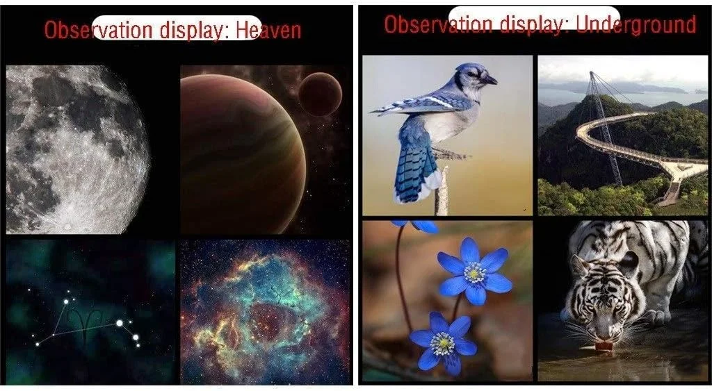 تلسکوپ برای کودکان، مبتدیان، دهانه 70 میلیمتری، براکت AZ 400 میلیمتری، اپتیک چند لایه، تلسکوپ برای بزرگسالان، تلسکوپ شکست نور نجومی قابل حمل با پایه، کوله پشتی، بهترین هدیه برای کودکان تلسکوپ برای کودکان، مبتدیان، دهانه 70 میلیمتری، براکت AZ 400 میلیمتری، اپتیک چند لایه، تلسکوپ برای بزرگسالان، تلسکوپ شکست نور نجومی قابل حمل با پایه، کوله پشتی، بهترین هدیه برای کودکان