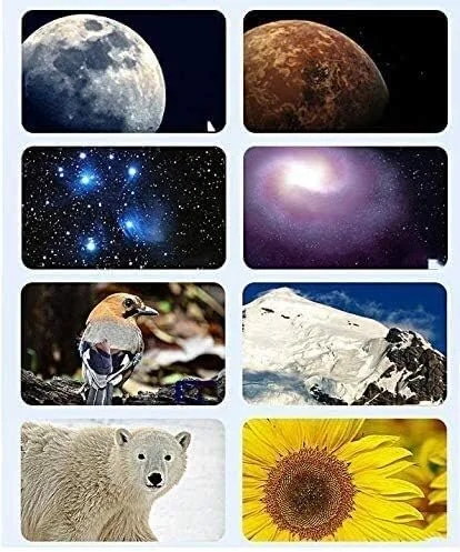 تلسکوپ منوچشمی نجومی تمکین، تلسکوپ شکستنی حرفه ای برای رصد ستارگان برای کودکان و مبتدیان، با سه پایه فوق العاده سبک