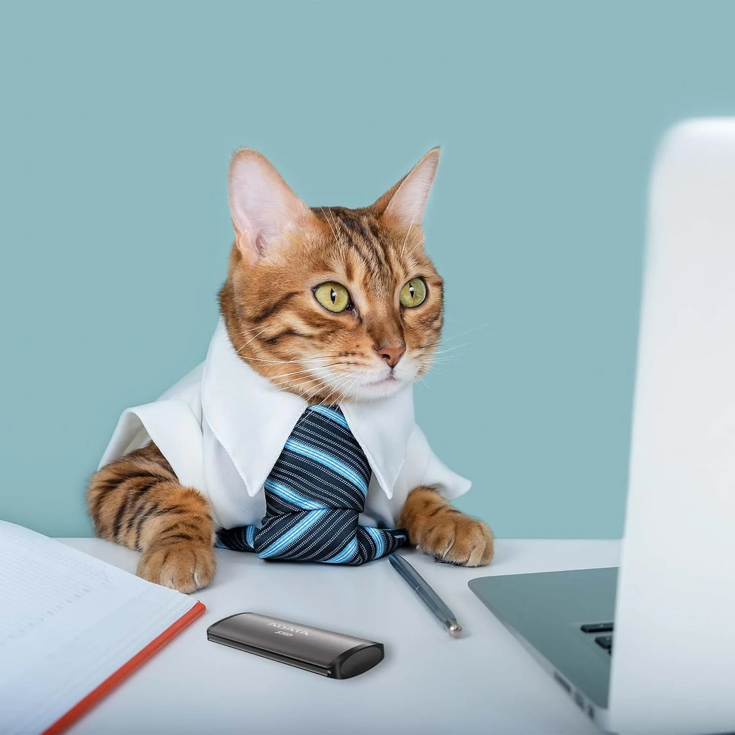 ADATA SE760 512 گیگابایت SSD مشکی USB-C 3.2 نسل 2 ADATA SE760 512 گیگابایت SSD مشکی USB-C 3.2 نسل 2