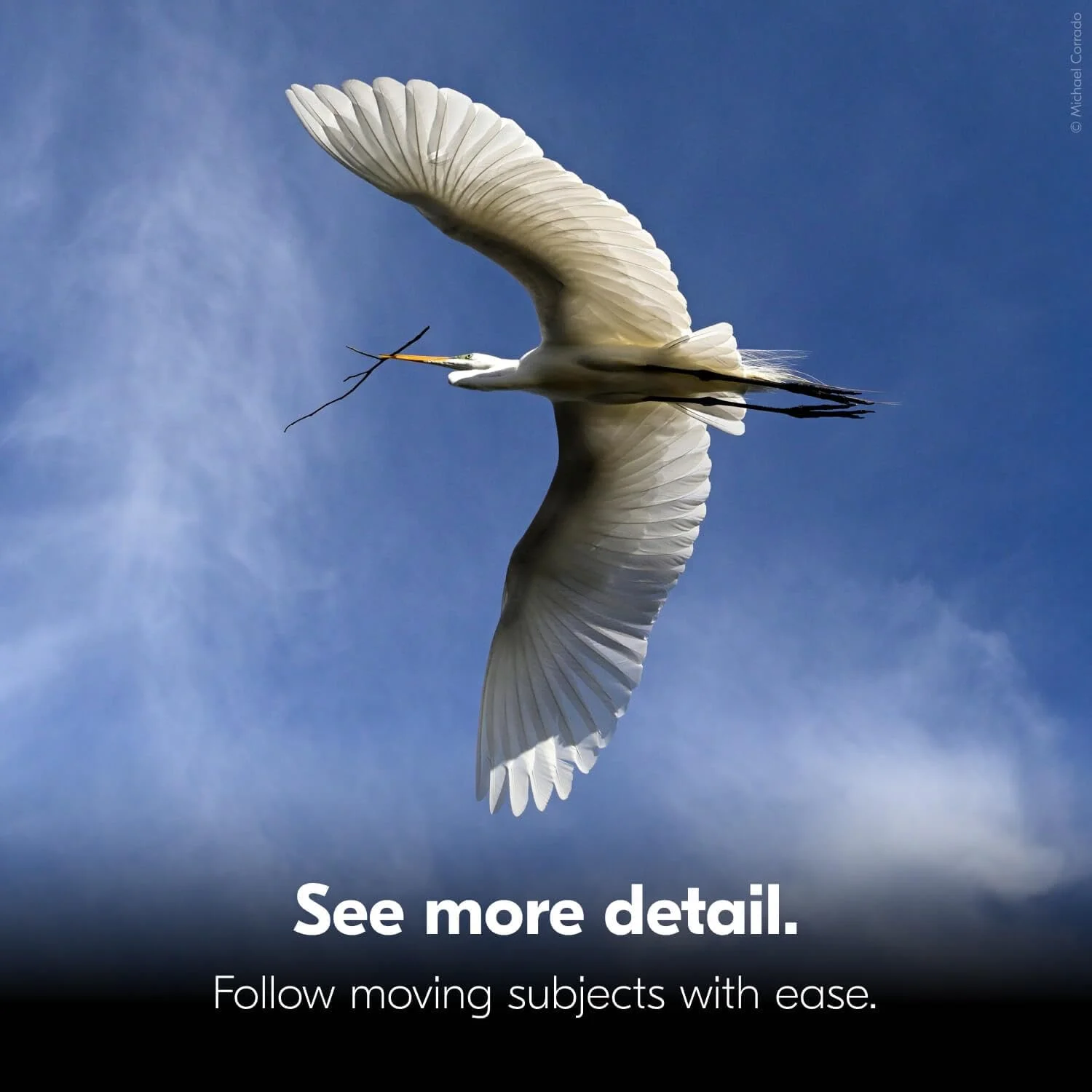 دوربین دوچشمی نیکون با تثبیت کننده تصویر 10x25 - تثبیت کننده تصویر اپتیکال، دید بدون تاری، طراحی ضد آب، بزرگنمایی 10 برابر برای شکار، تماشای پرندگان و فعالیت های خارج از منزل دوربین دوچشمی نیکون با تثبیت کننده تصویر 10x25 - تثبیت کننده تصویر اپتیکال، دید بدون تاری، طراحی ضد آب، بزرگنمایی 10 برابر برای شکار، تماشای پرندگان و فعالیت های خارج از منزل