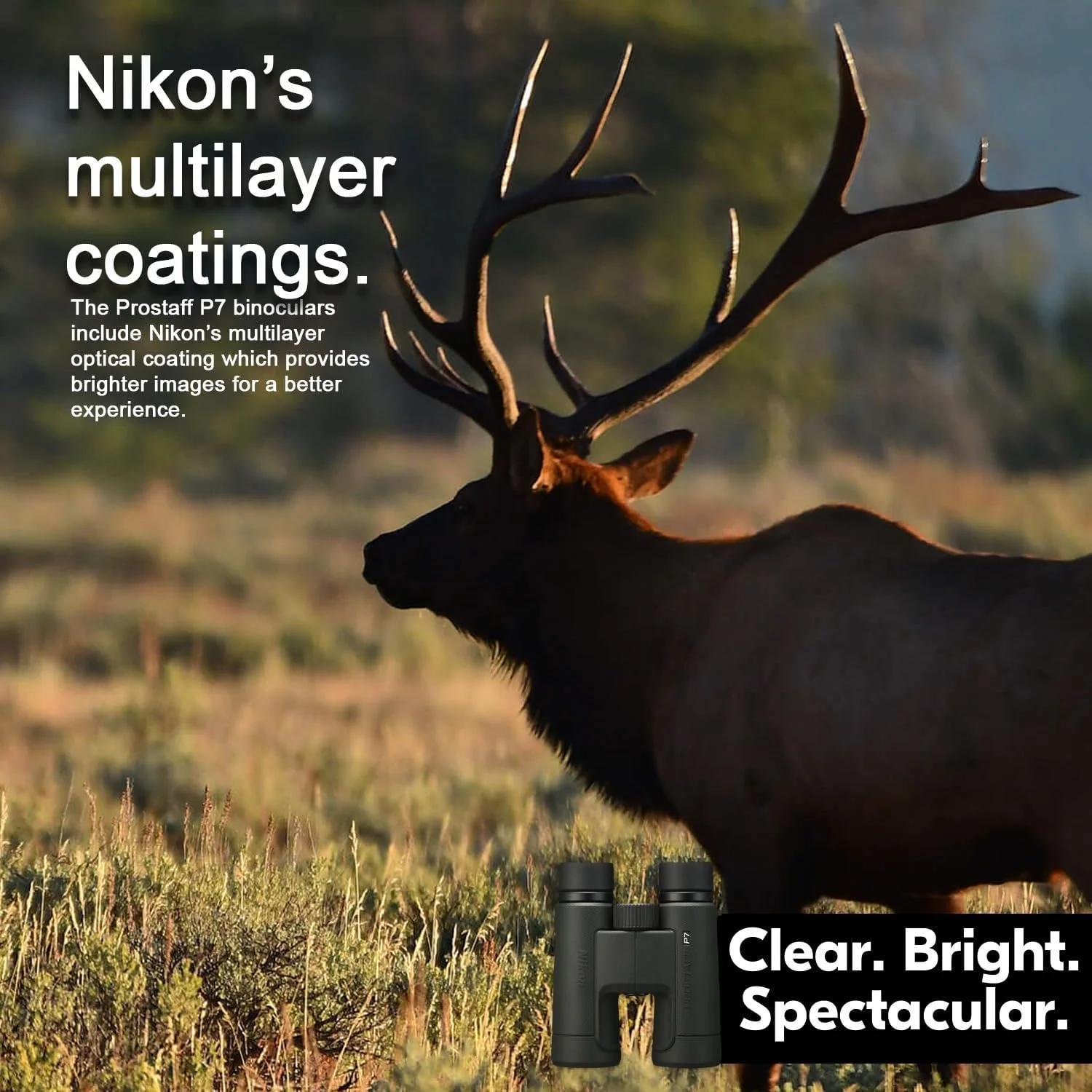 دوربین دوچشمی نیکون Prostaff P7 8X42 به همراه کیف شانه ای دوربین DSLR و بدون آینه (مشکی)، قلم تمیز کننده لنز فوکوس و پارچه تمیز کننده میکروفیبر فوکوس (4 تکه)