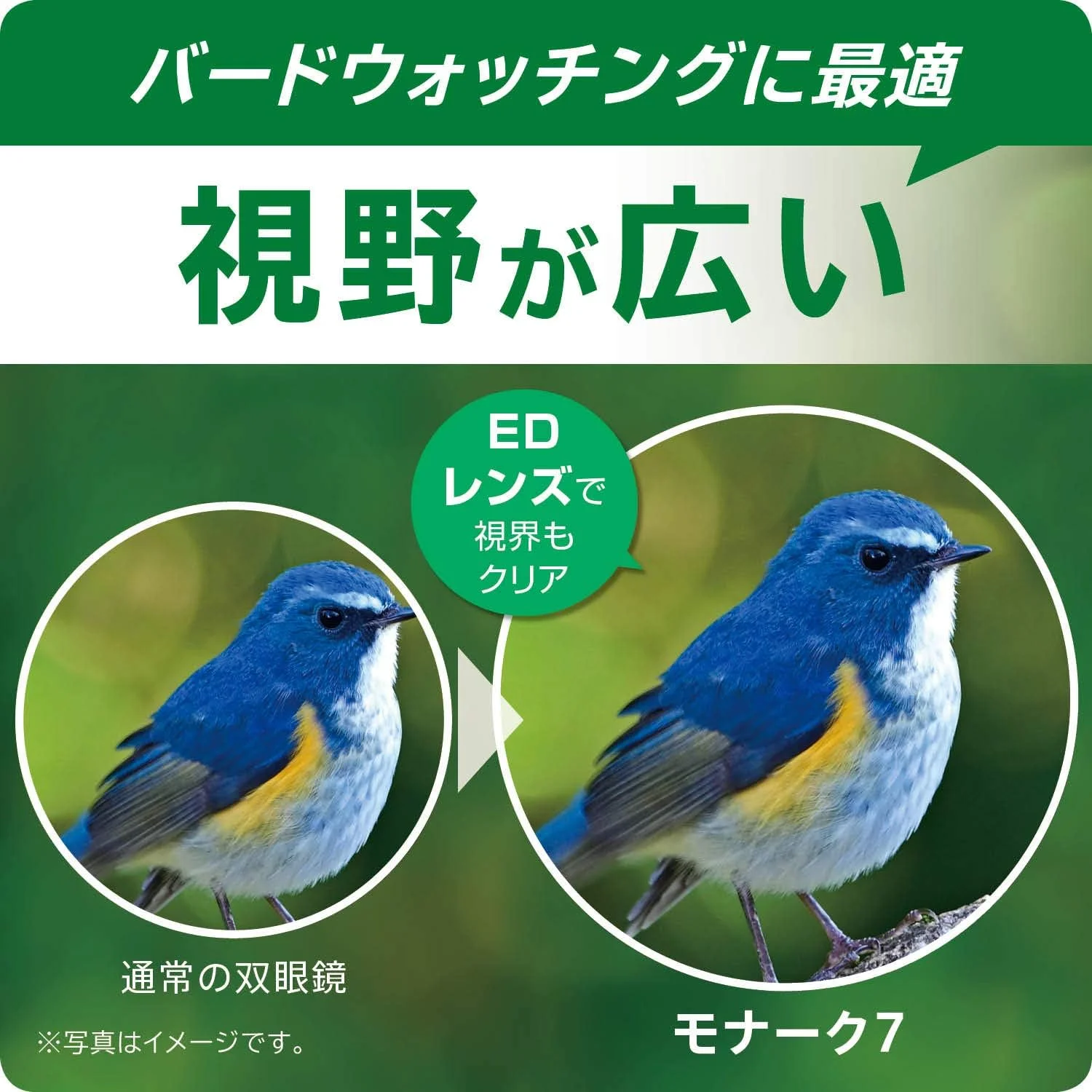 دوربین دوچشمی نیکون Monarch 7، 8 X 42 میلی‌متر - نسخه بین المللی