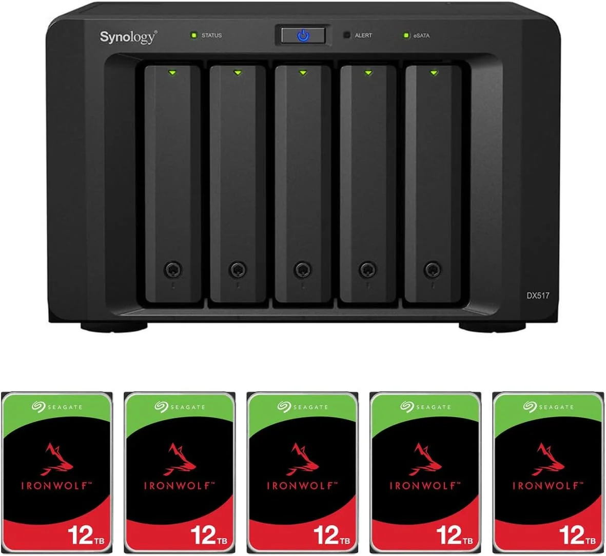 واحد توسعه 5-Bay سیگیت DX517 به همراه 5 عدد هارد دیسک داخلی 12 ترابایتی IronWolf SATA III 3.5 اینچی 7200 RPM