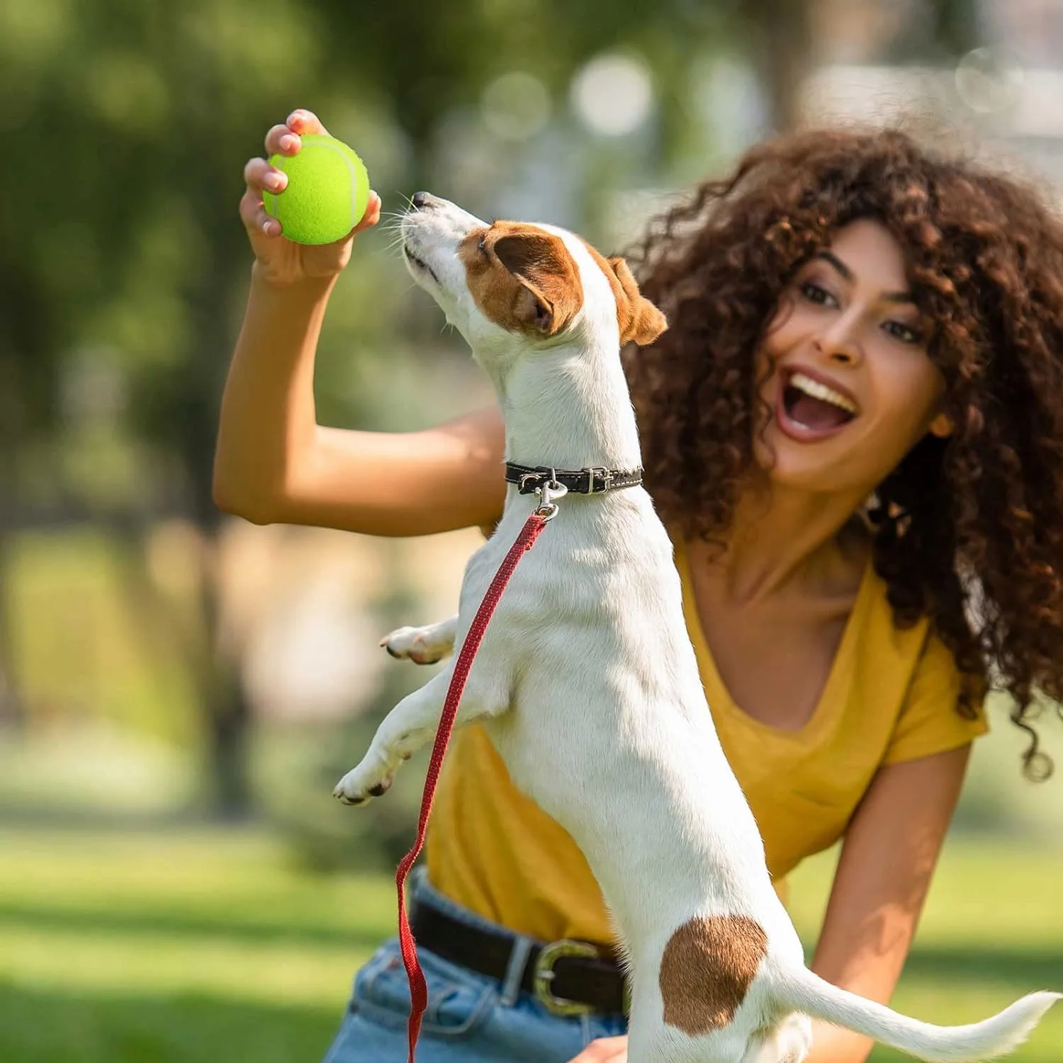 بسته ۱۲ عددی توپ تنیس تمرینی پیشرفته با کیف توری برای حمل - توپ های تمرینی برای سگ ها، تمرین مبتدی، الاستیک بالا و محکم