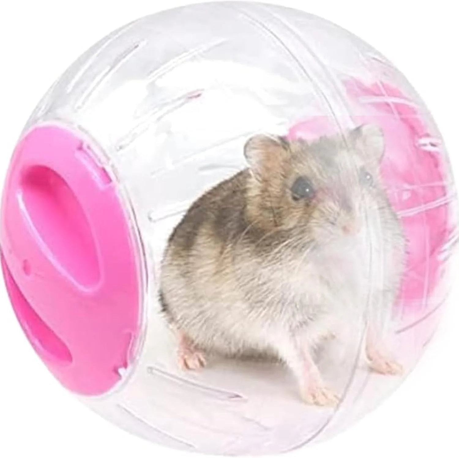 توپ ورزشی همستر NeoStyle، توپ شفاف ورزشی همستر، چرخ همستر، لوازم جانبی قفس اسباب بازی توپ دویدن خوکچه هندی (بزرگ (15 سانتی متر)، صورتی)