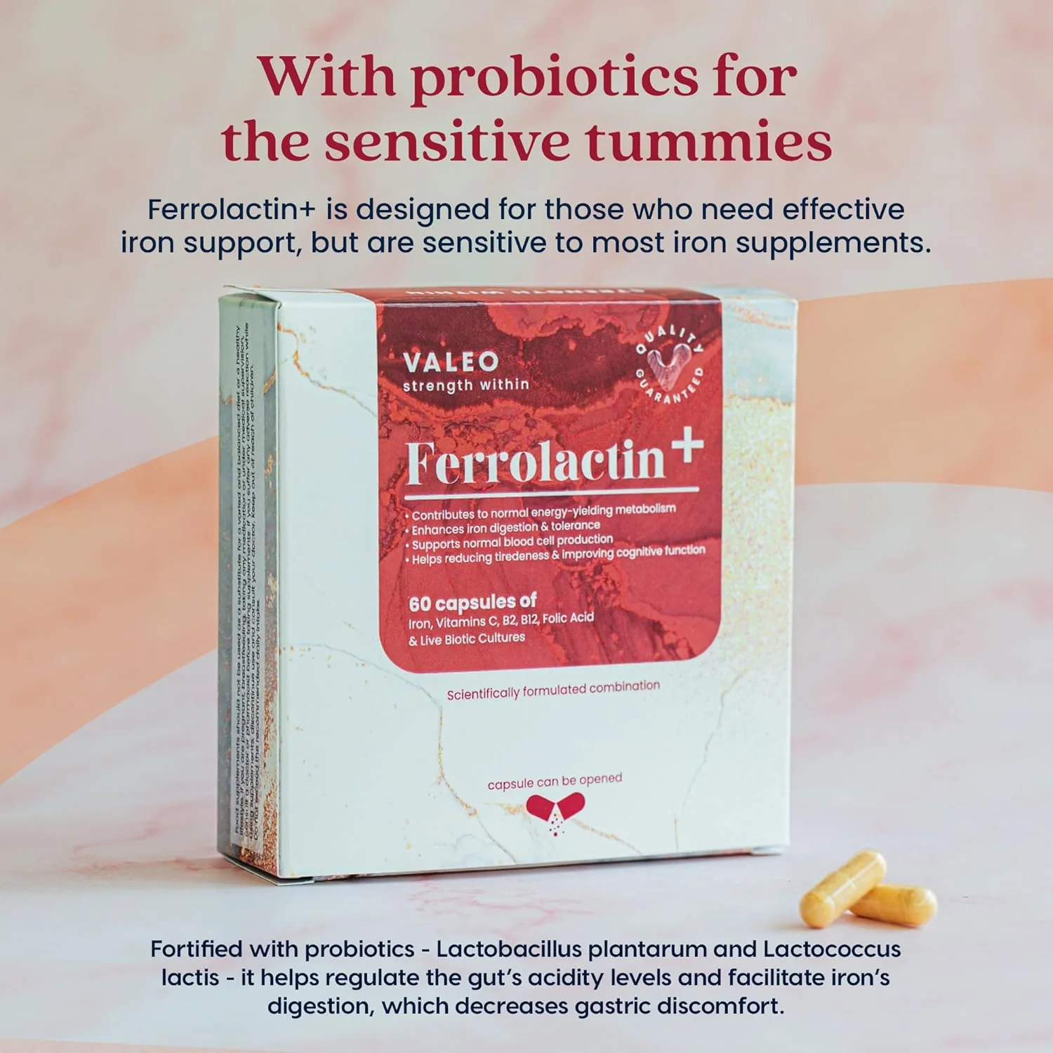 مکمل آهن Valeo Ferrolactin+ حاوی ویتامین C، B12، B2، اسید فولیک و پروبیوتیک | پشتیبانی از هموگلوبین، انرژی و جذب آهن | 60 کپسول | ملایم بر معده