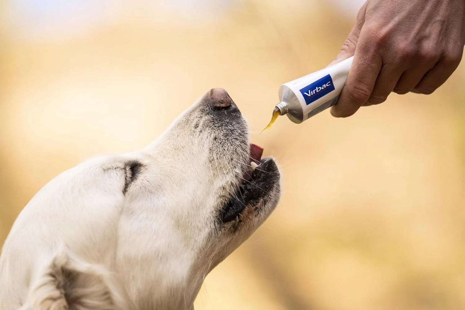 ژل مولتی ویتامین و مواد معدنی نوتری پلاس ویرباک 120 گرم