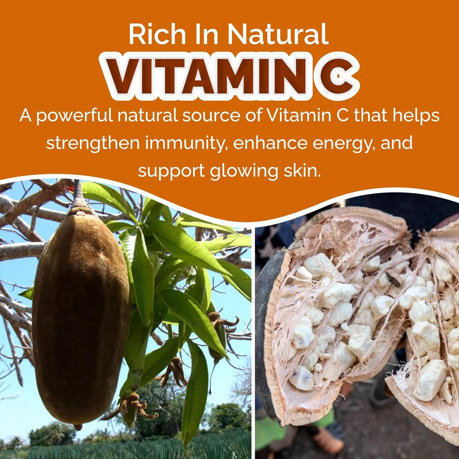 پودر میوه بائوباب ارگانیک Savannah Soul، 200 گرم – سرشار از ویتامین C، تقویت کننده سیستم ایمنی، پشتیبانی از سلامت استخوان و دستگاه گوارش، وگان، غیر تراریخته، بدون گلوتن، بدون شکر افزوده، بدون لبنیات، بدون مواد نگهدارنده پودر میوه بائوباب ارگانیک Savannah Soul، 200 گرم – سرشار از ویتامین C، تقویت کننده سیستم ایمنی، پشتیبانی از سلامت استخوان و دستگاه گوارش، وگان، غیر تراریخته، بدون گلوتن، بدون شکر افزوده، بدون لبنیات، بدون مواد نگهدارنده