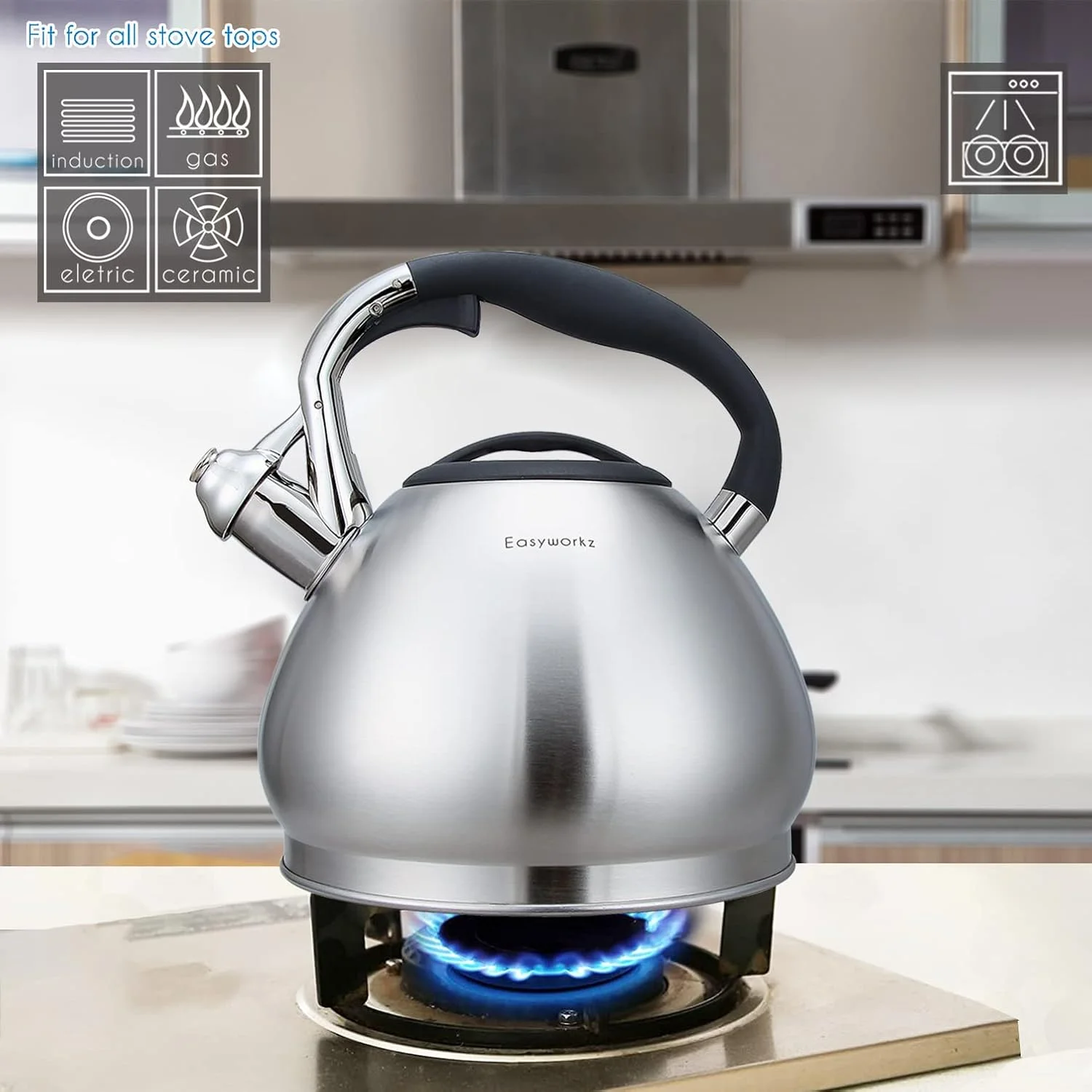 کتری چای ساز استیل ضد زنگ Easyworkz با سوت بلند، مناسب برای اجاق گاز، 3.0 لیتر
