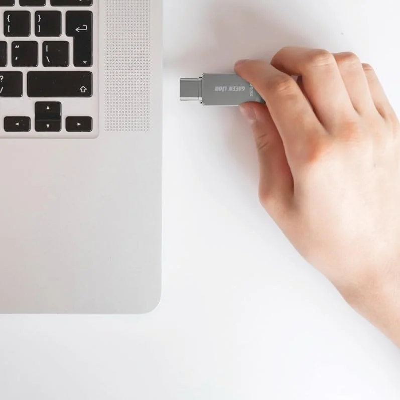 فلش مموری دو کاره 256 گیگابایتی Green Lion با پورت USB-C، انتقال داده با سرعت بالا USB 3.0، پشتیبانی از USB-A و Type-C OTG، طراحی چرخان 360 درجه، سرعت خواندن 100 مگابایت بر ثانیه، مناسب برای گوشی هوشمند/لپ تاپ/کامپیوتر - نقره ای