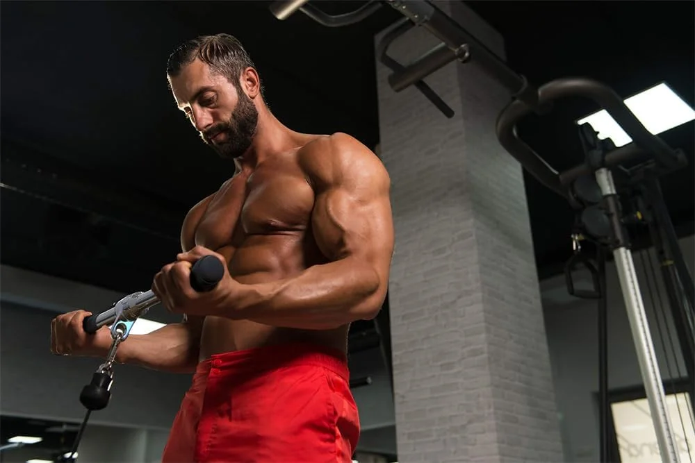 میله صاف اتصال کابل Defseda، میله کششی با دستگیره های ضد لغزش، میله کششی فولادی سنگین برای تمرینات قدرتی باشگاه خانگی، لوازم جانبی برای تجهیزات تناسب اندام میله صاف اتصال کابل Defseda، میله کششی با دستگیره های ضد لغزش، میله کششی فولادی سنگین برای تمرینات قدرتی باشگاه خانگی، لوازم جانبی برای تجهیزات تناسب اندام